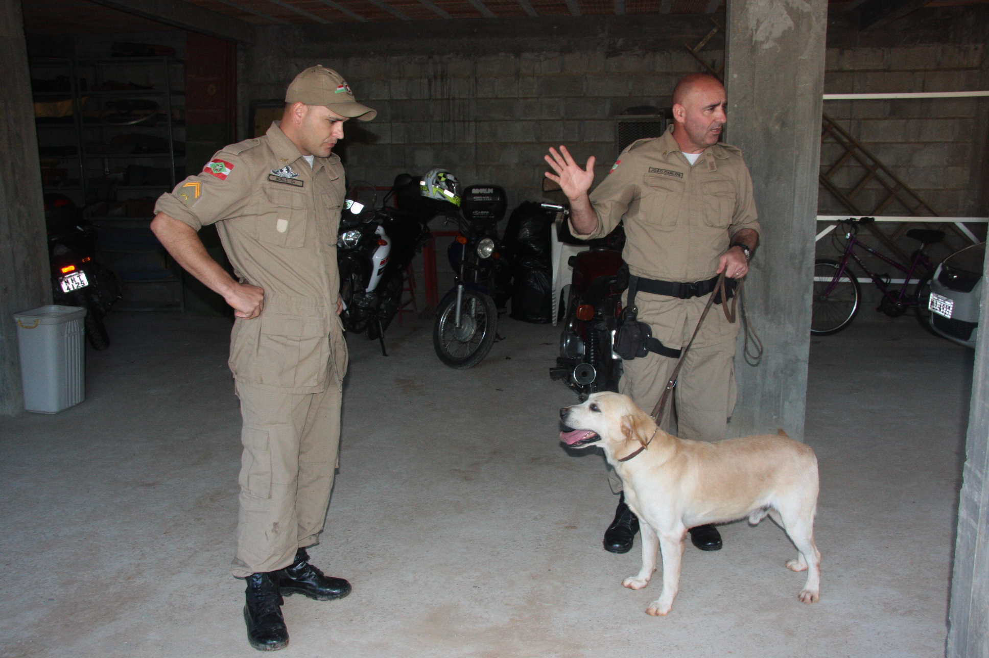Cães Farejadores da Polícia Militar. Foto: Eduardo Guedes de Oliveira / Agência AL