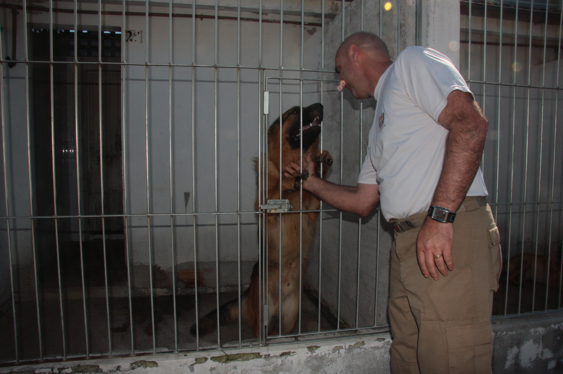 Cães Farejadores da Polícia Militar. Foto: Eduardo Guedes de Oliveira / Agência AL