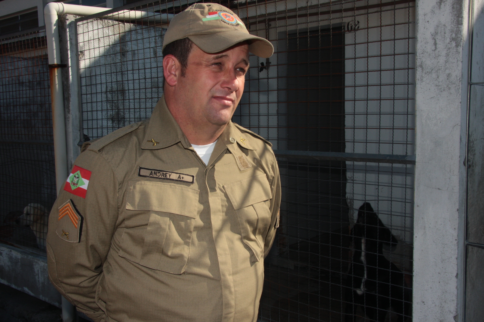 Cães Farejadores da Polícia Militar. Foto: Eduardo Guedes de Oliveira / Agência AL