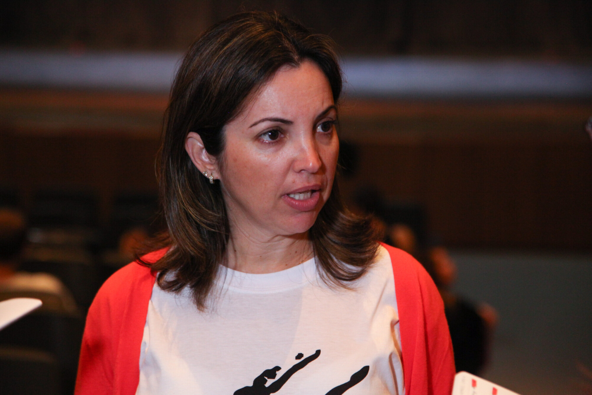 Coordenadora da mostra, Adriana Guimarães