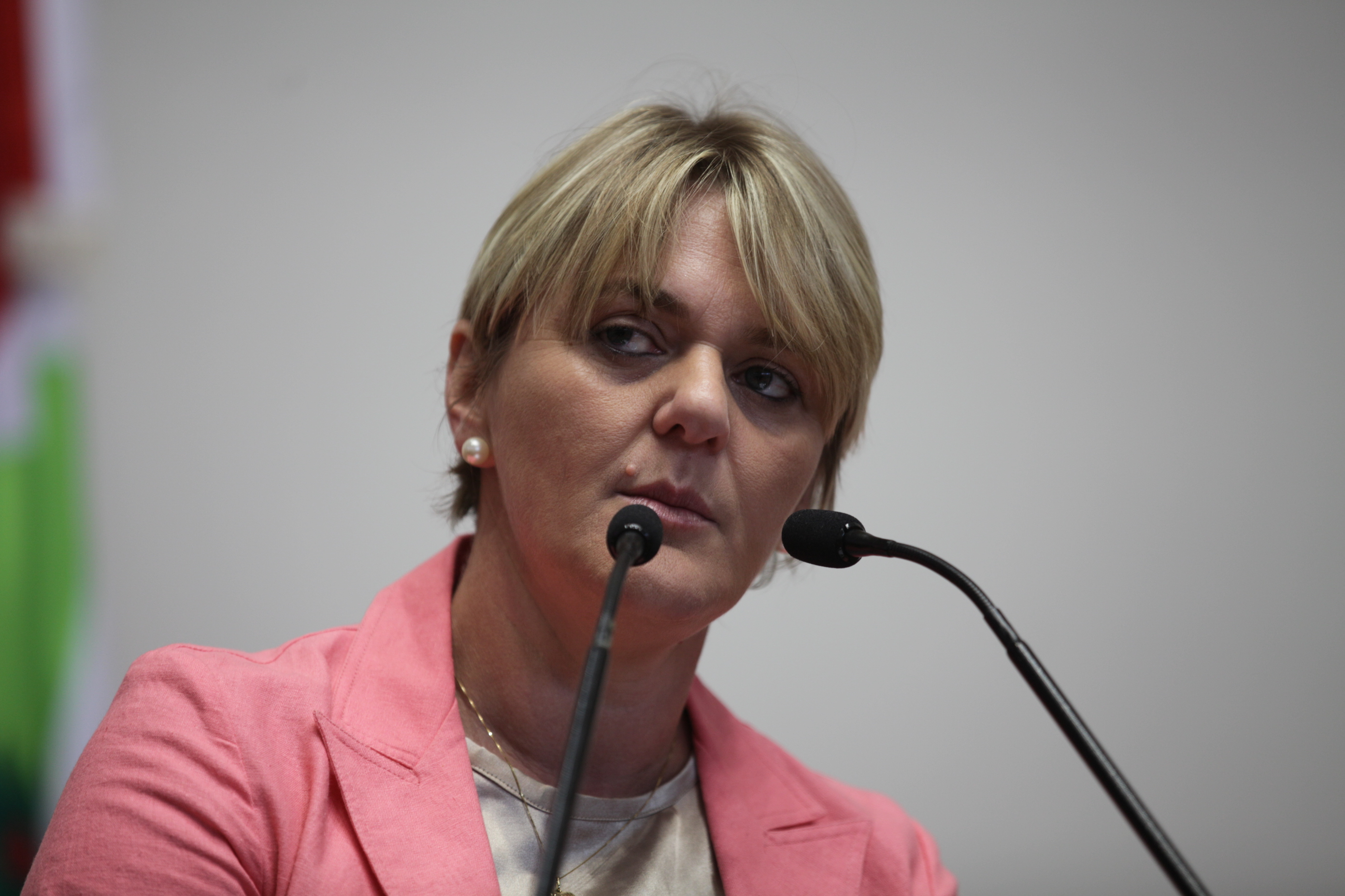 Sessão Plenária - Deputada Luciane Carminatti (PT)