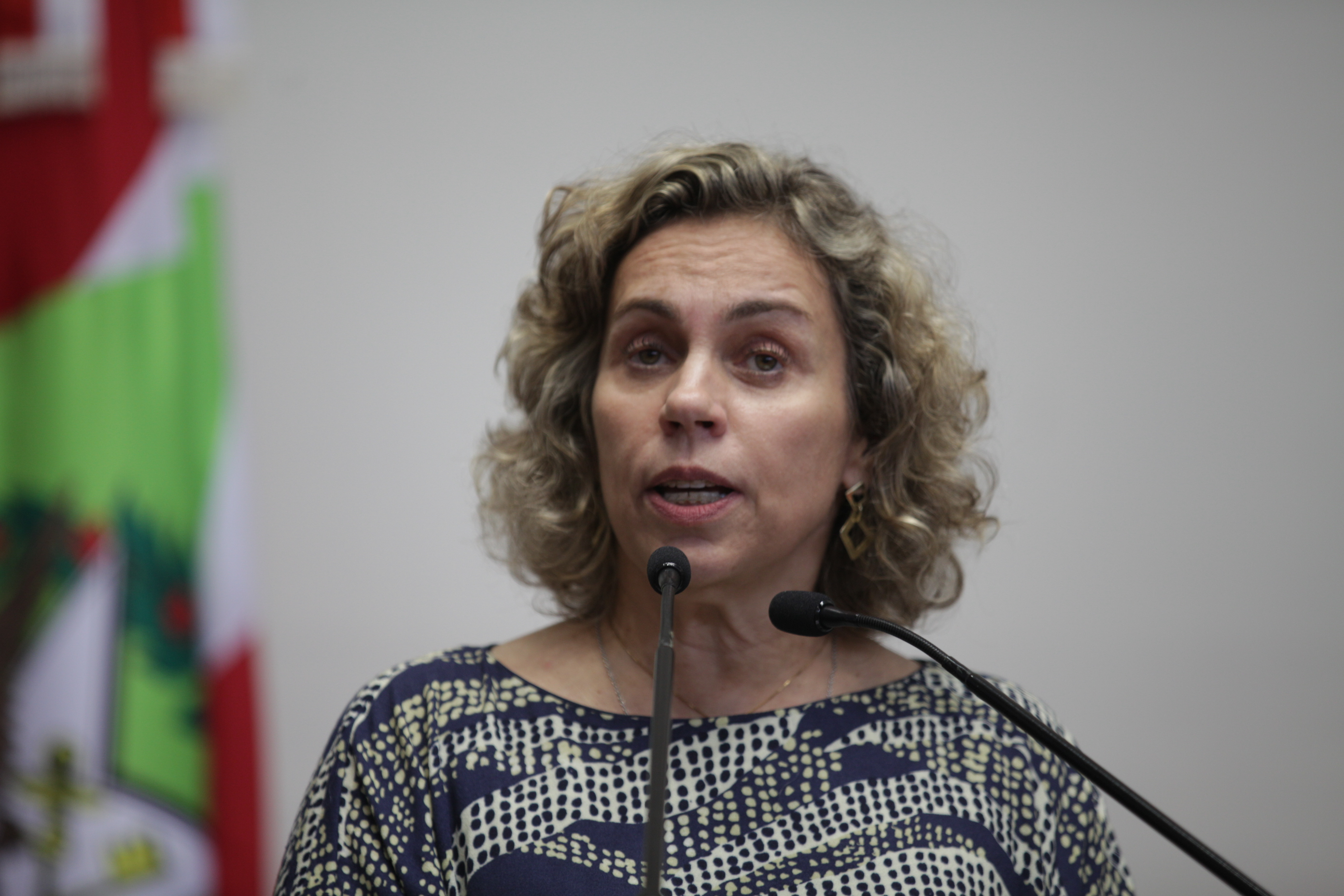 Sessão Plenária - Deputada Ana Paula Lima (PT)