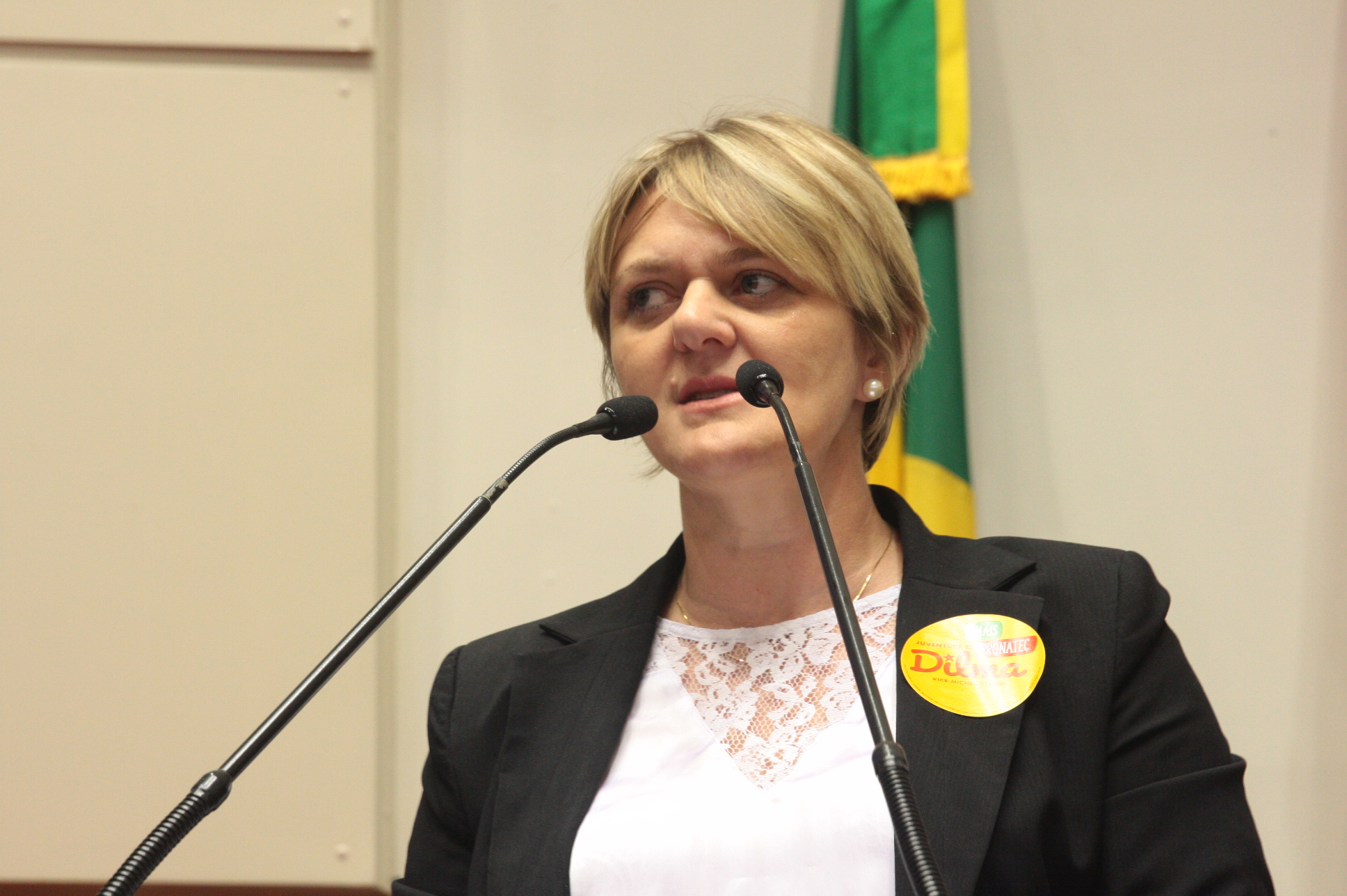 Plenario_dp Luciane Carminatti _Fotos Eduardo Guedes de Oliveira / Agência AL