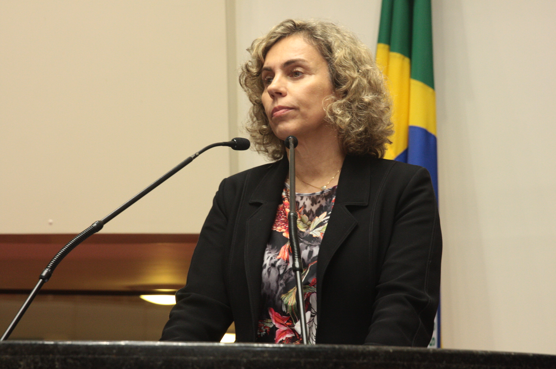 Plenario_dp Ana Paula Lima_Fotos Eduardo Guedes de Oliveira / Agência AL