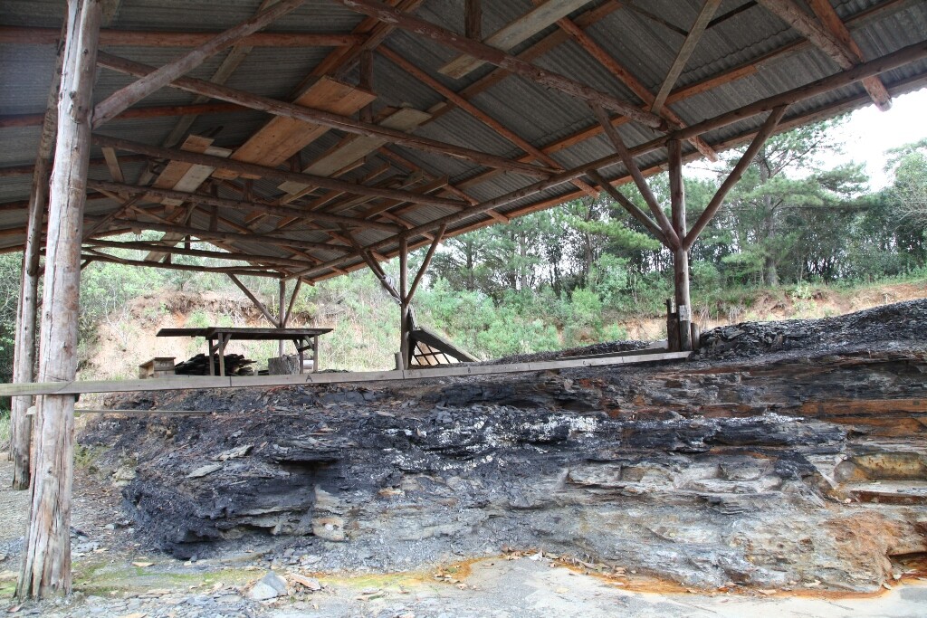 FOTO: Solon Soares/Agência AL