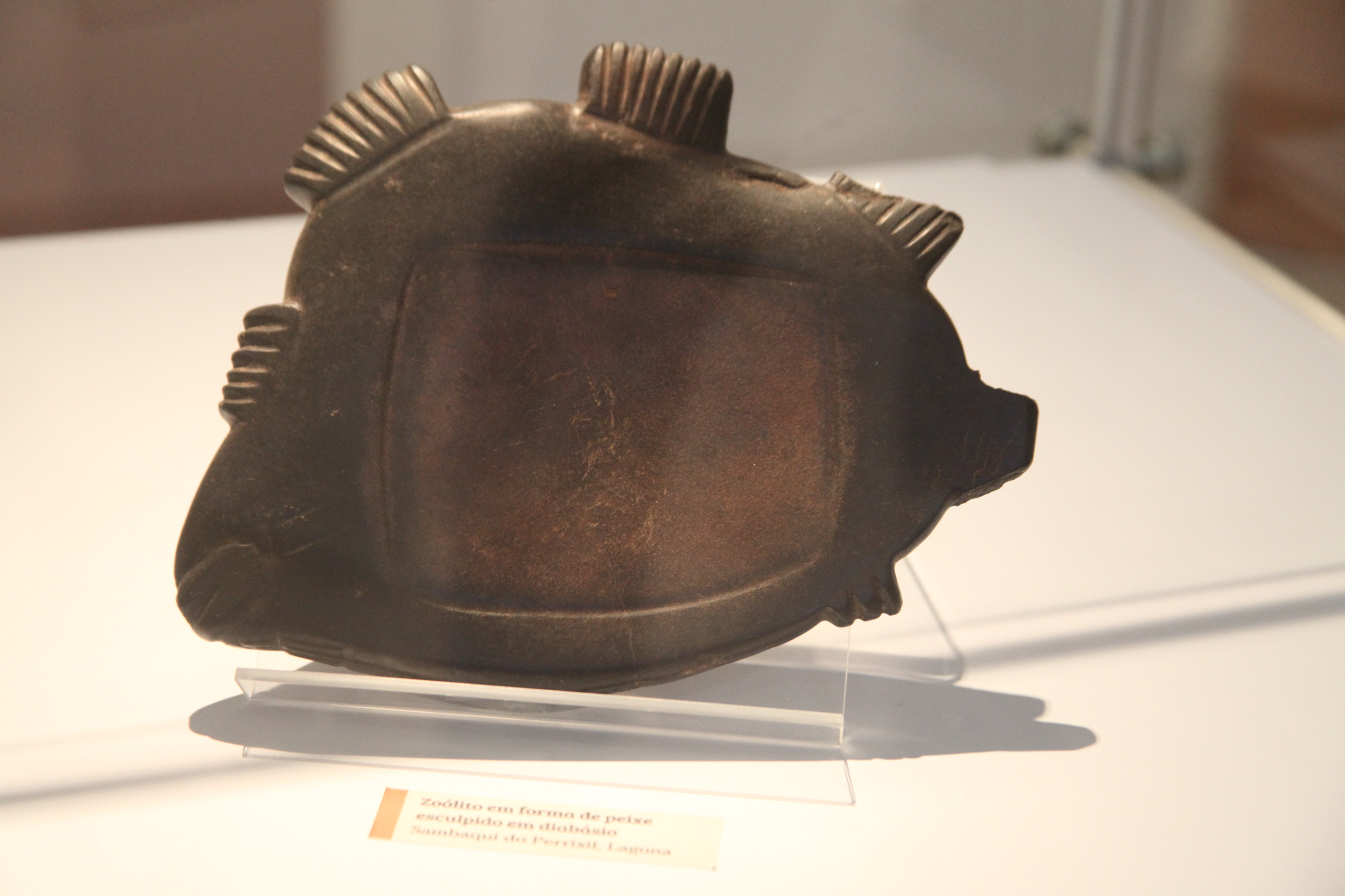 Exposição Arqueologia em Questão. Foto: Fábio Queiroz / Agência AL
