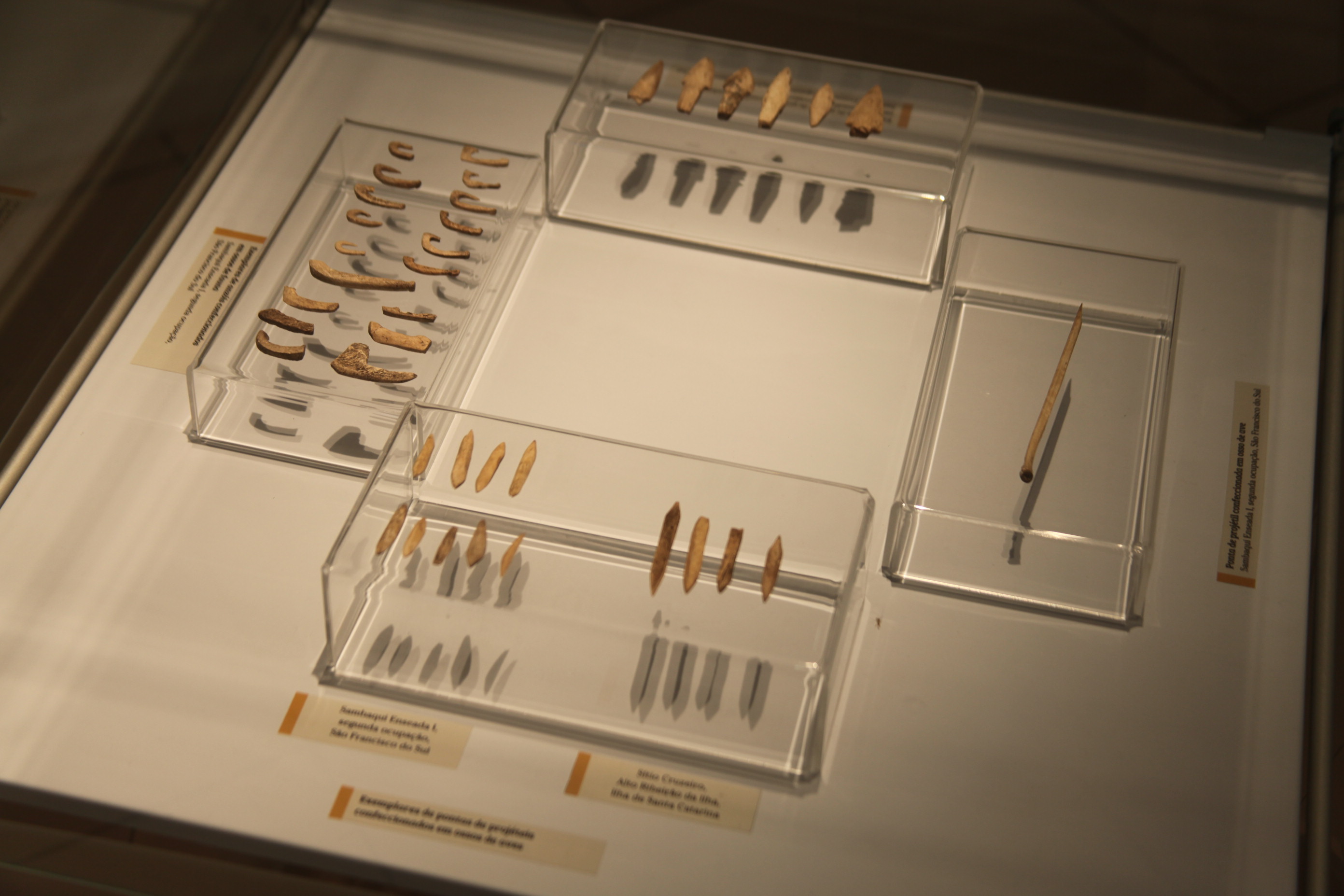 Exposição Arqueologia em Questão. Foto: Fábio Queiroz / Agência AL