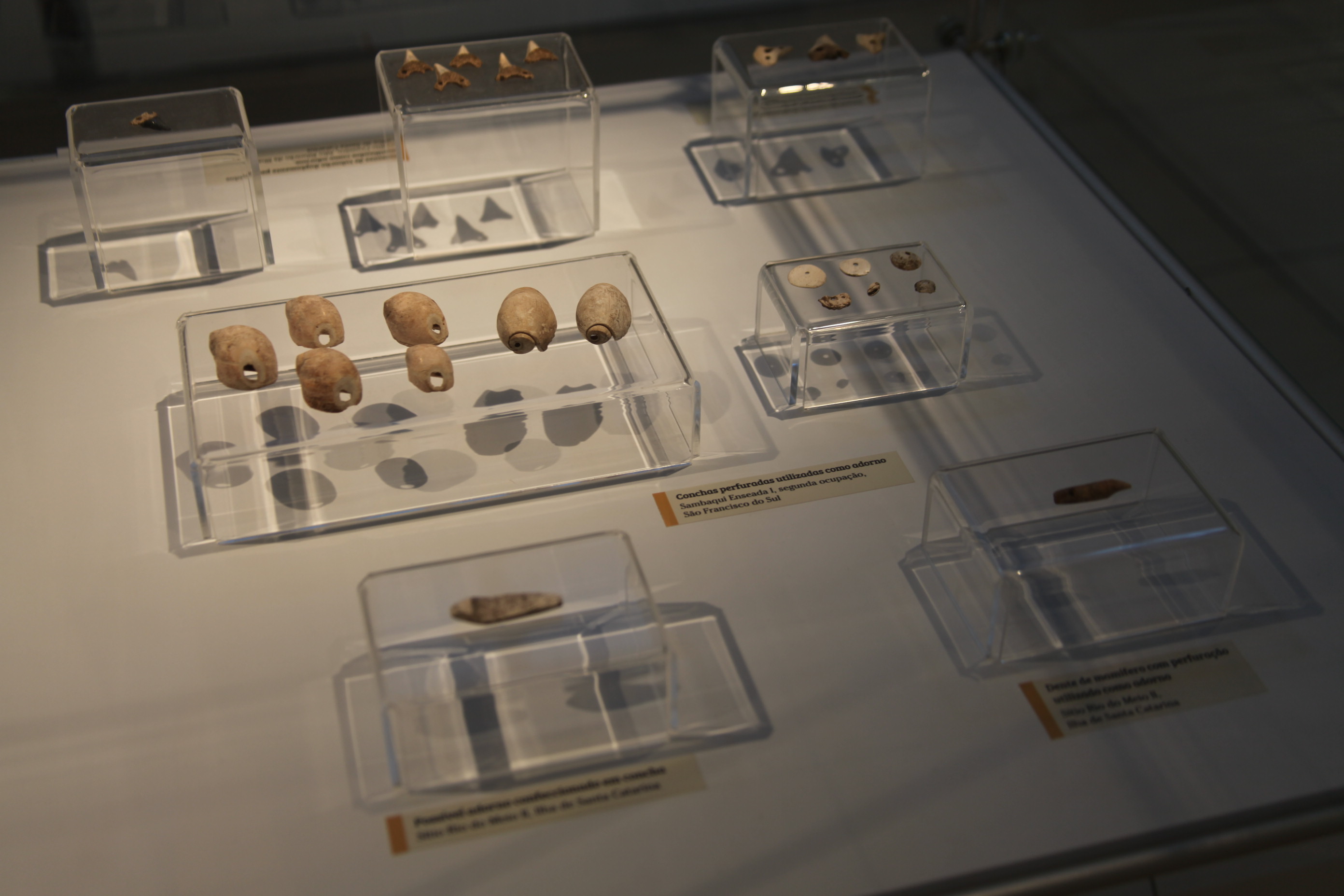Exposição Arqueologia em Questão. Foto: Fábio Queiroz / Agência AL