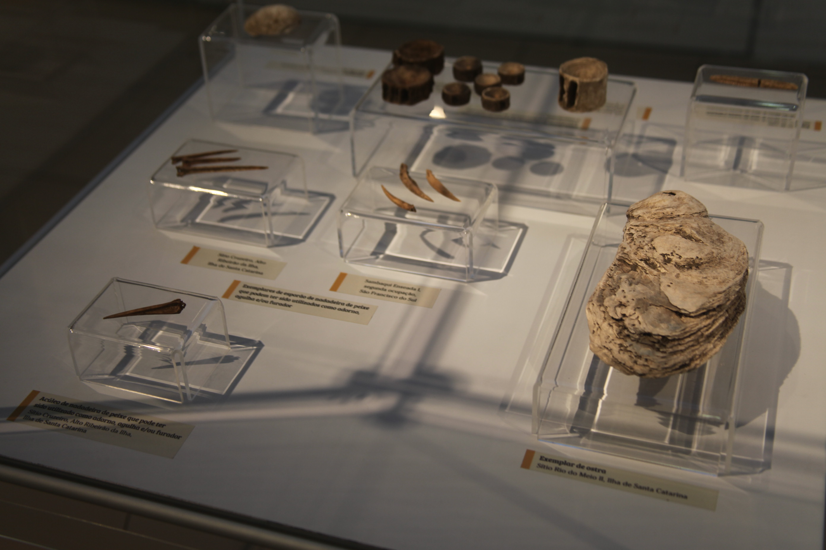 Exposição Arqueologia em Questão. Foto: Fábio Queiroz / Agência AL