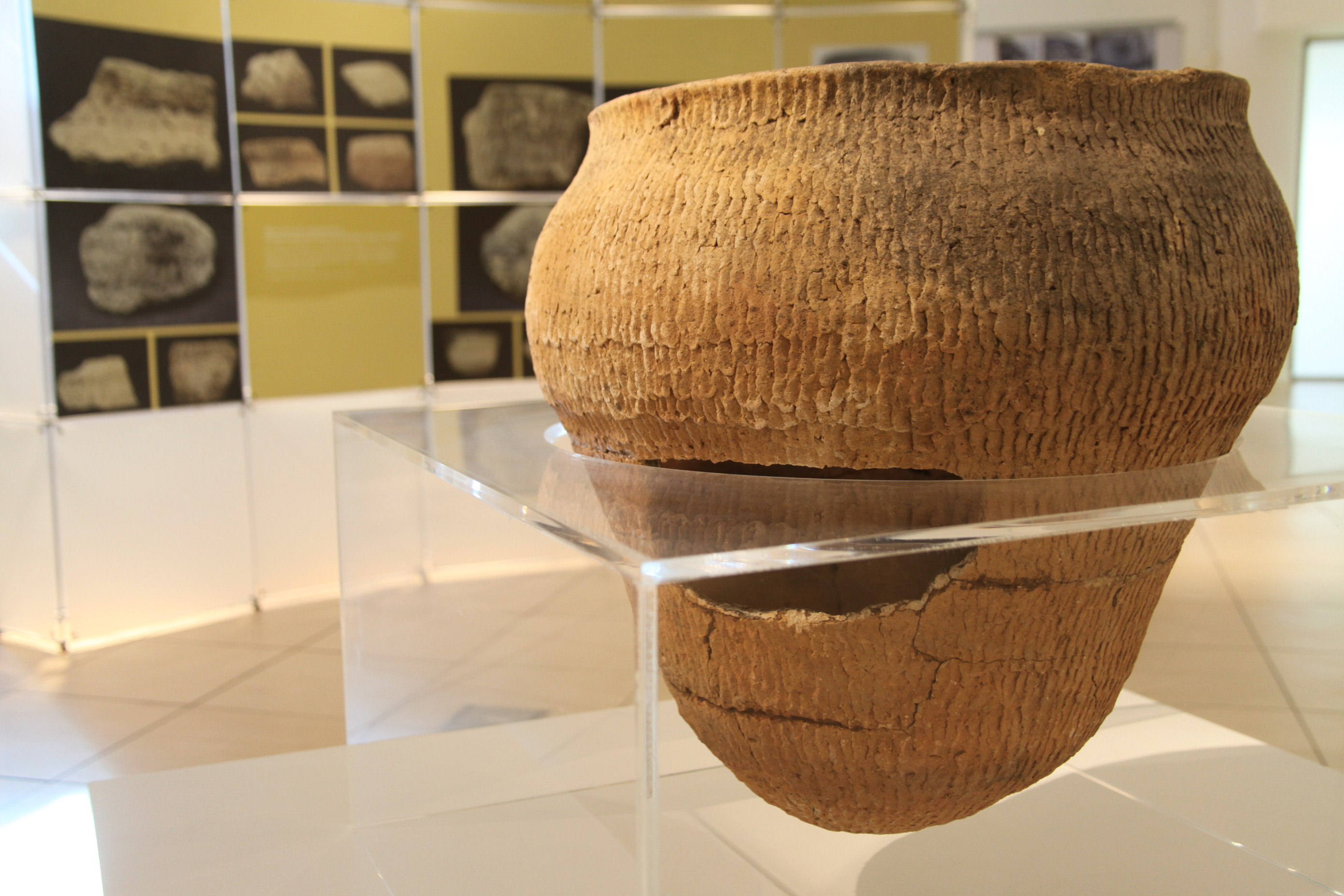 Exposição Arqueologia em Questão. Foto: Fábio Queiroz / Agência AL