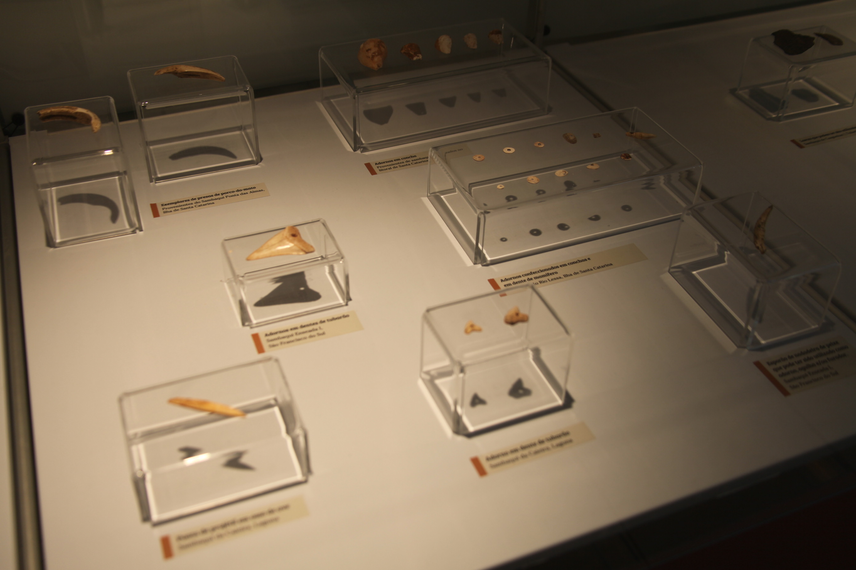 Exposição Arqueologia em Questão. Foto: Fábio Queiroz / Agência AL