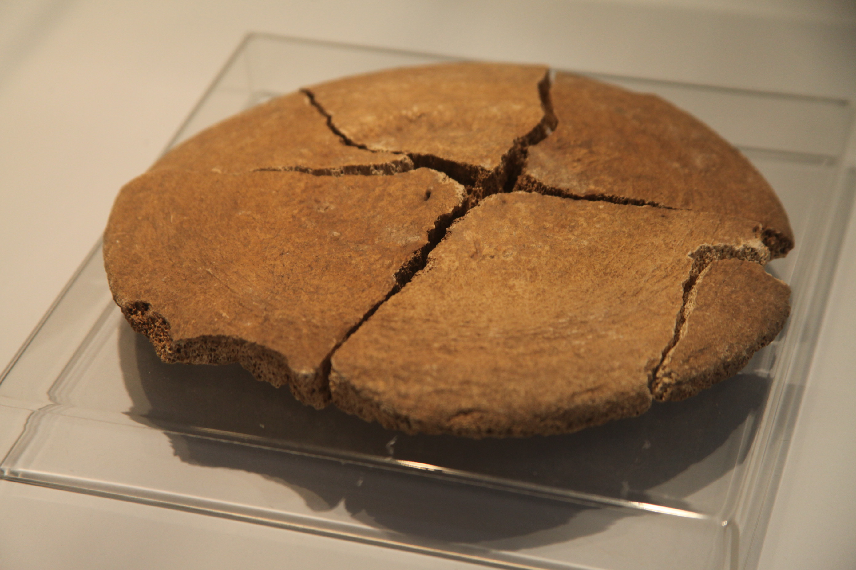 Exposição Arqueologia em Questão. Foto: Fábio Queiroz / Agência AL