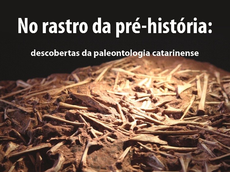 O pterossauro encontrado por pesquisadores da Universidade do Contestado