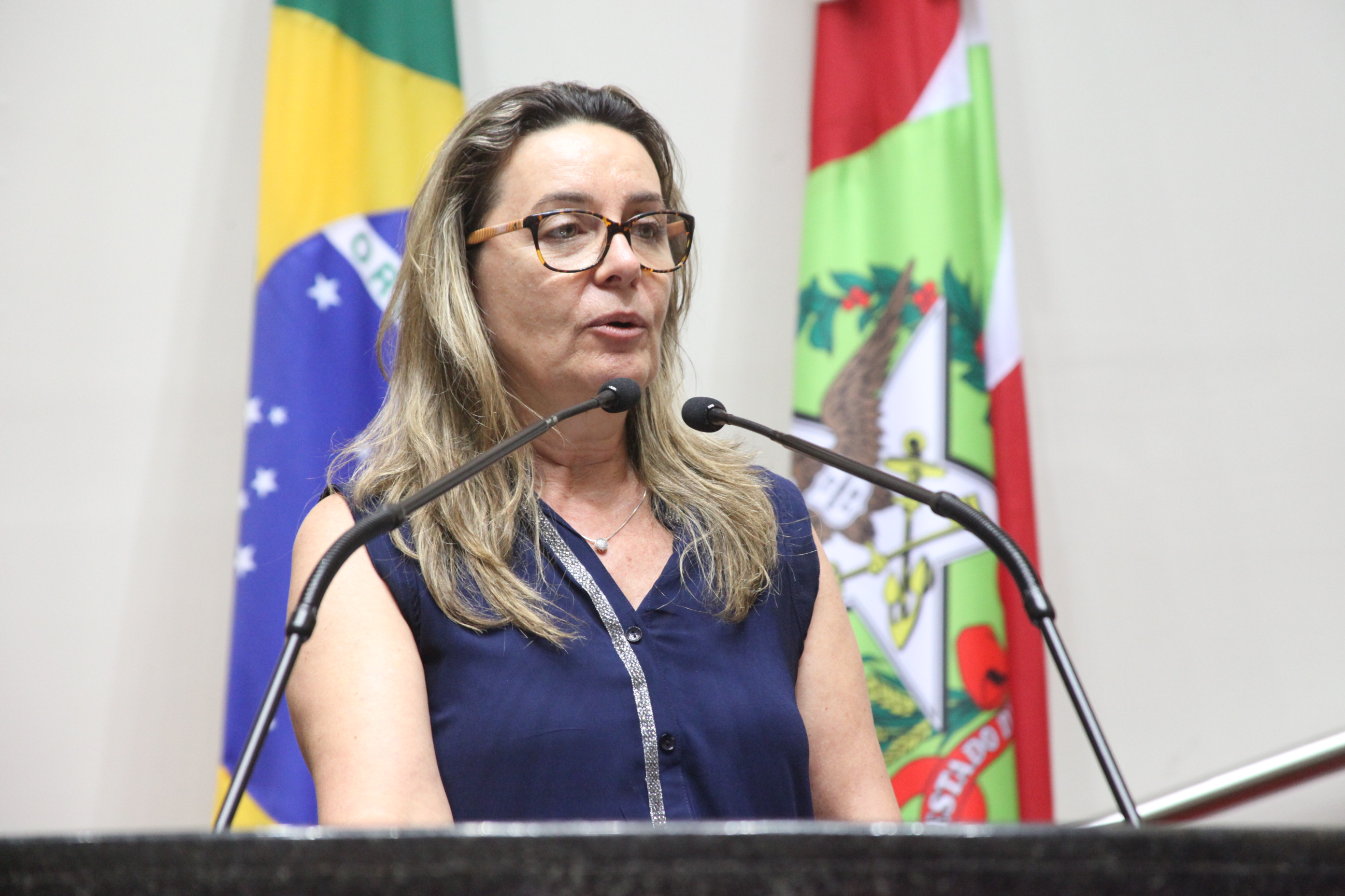 Sessão especial em comemoração à passagem dos 90 anos da Coluna Prestes. Foto: Fábio Queiroz / Agência AL