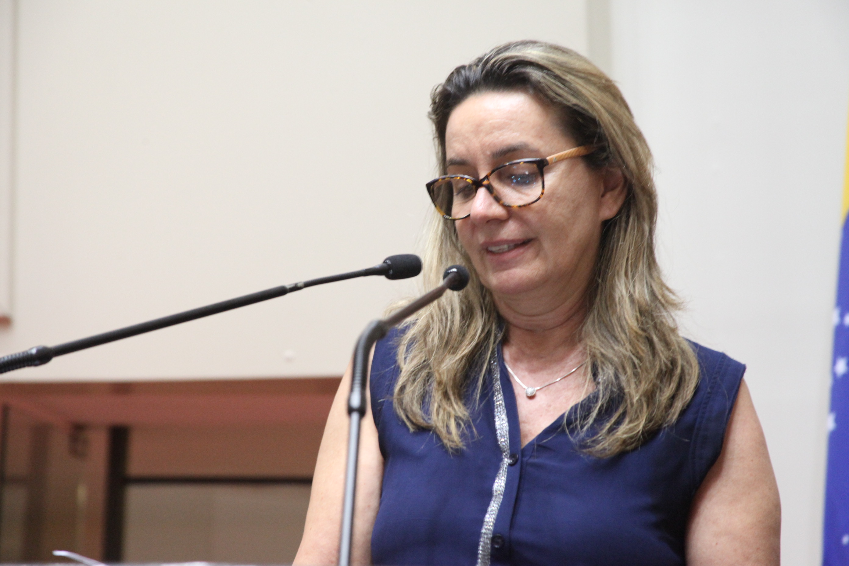 Sessão especial em comemoração à passagem dos 90 anos da Coluna Prestes. Foto: Fábio Queiroz / Agência AL