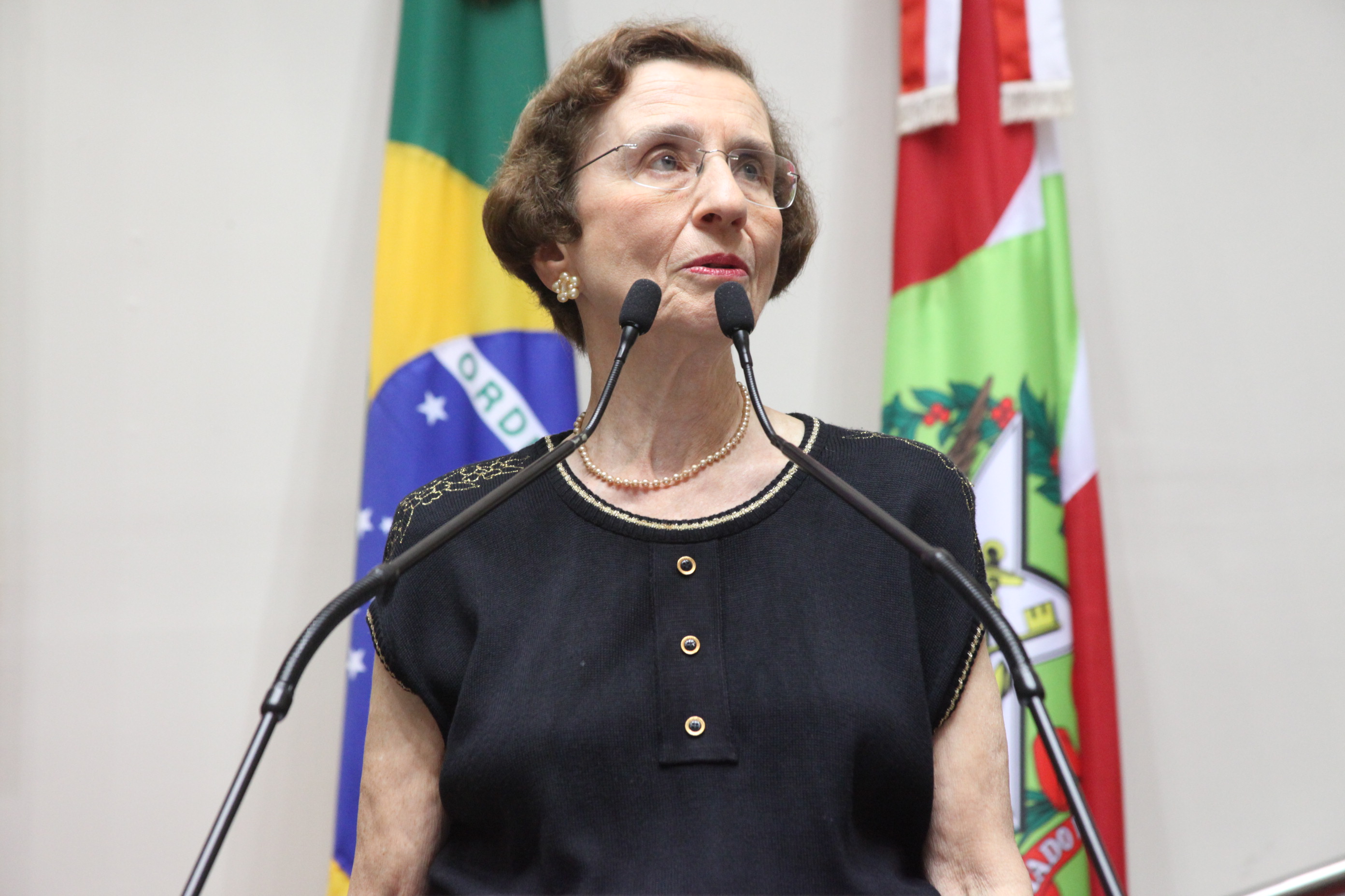 Sessão especial em comemoração à passagem dos 90 anos da Coluna Prestes. Foto: Fábio Queiroz / Agência AL