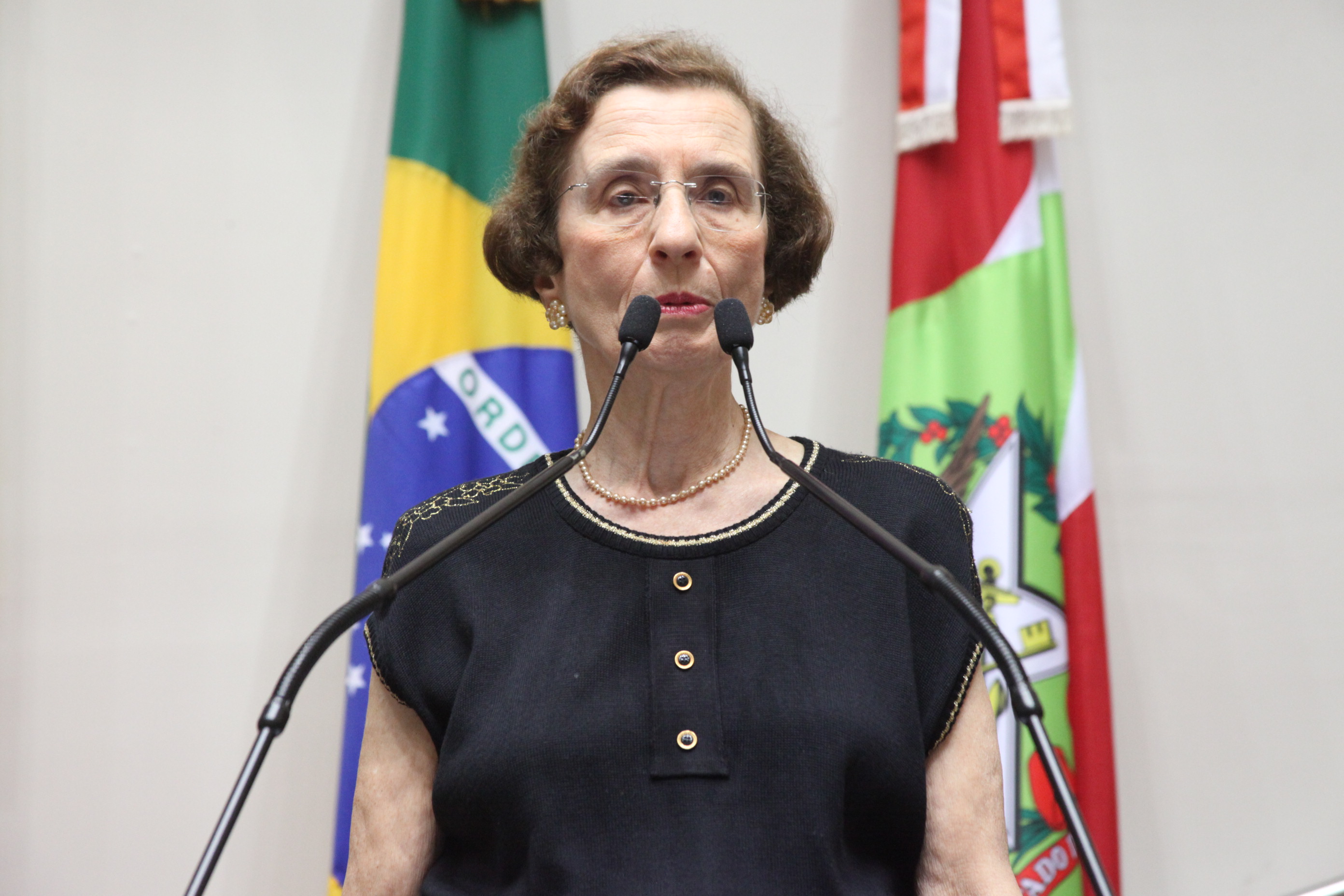 Sessão especial em comemoração à passagem dos 90 anos da Coluna Prestes. Foto: Fábio Queiroz / Agência AL