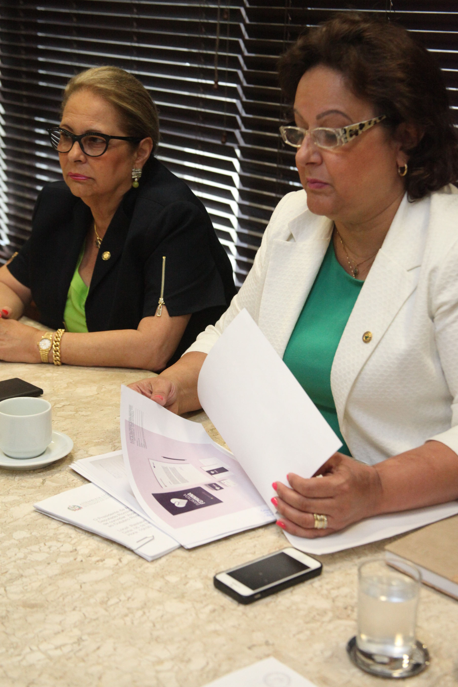 Resolução Bancada Feminina. Foto: Fábio Queiroz / Agência AL