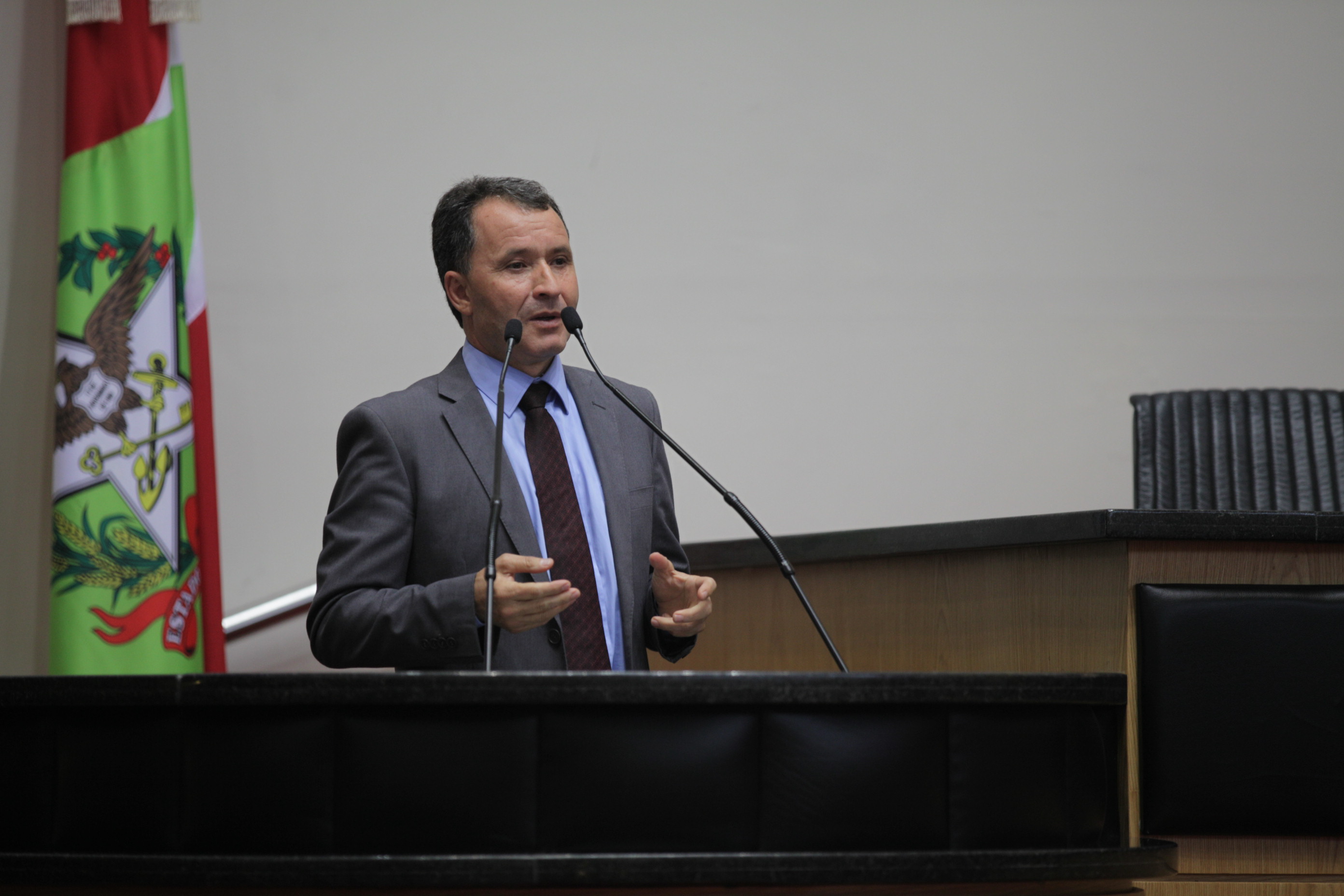Sessão Plenária - Deputado Darci de Mattos (PSD)