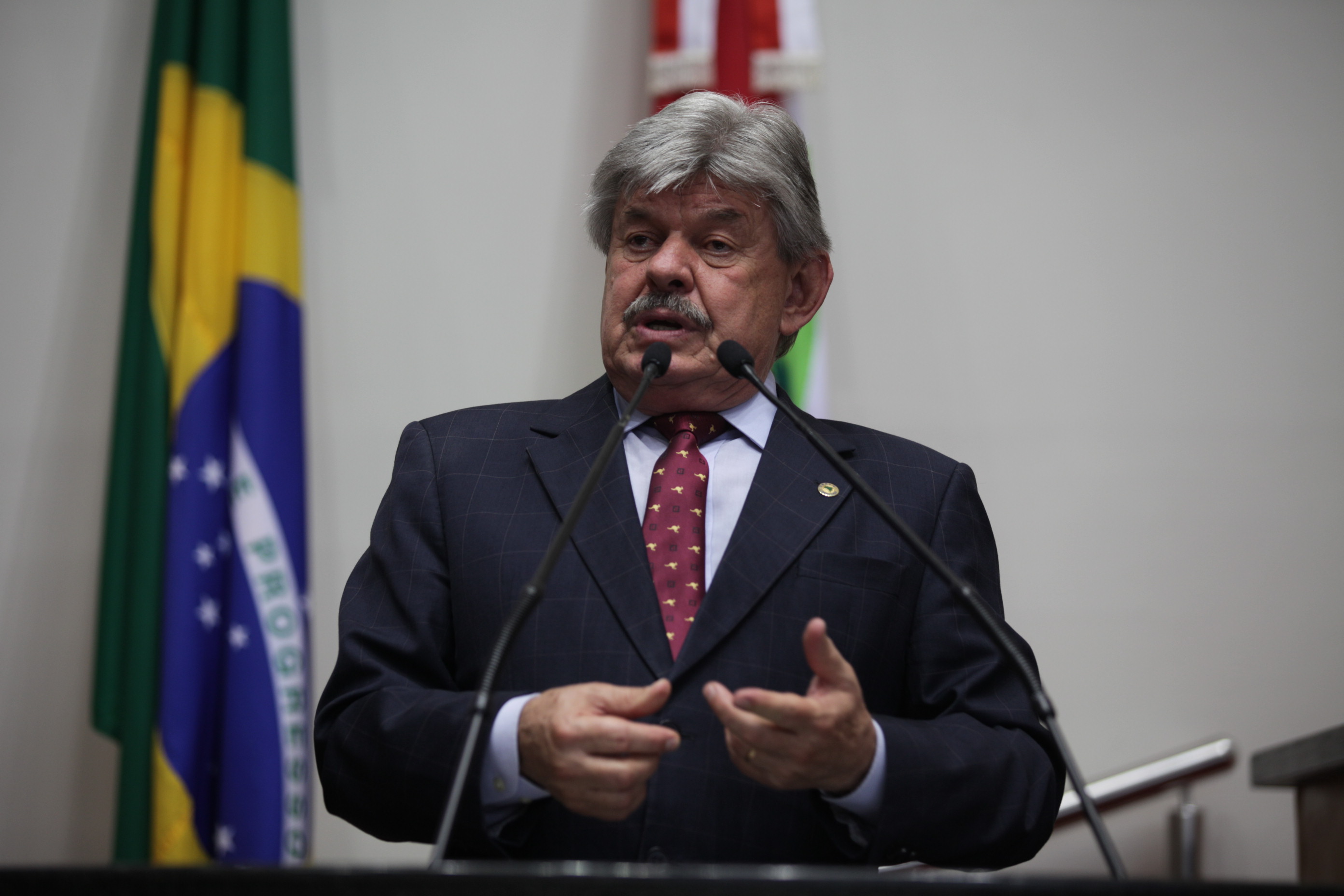 Sessão Plenária - Deputado Reno Caramori (PP)