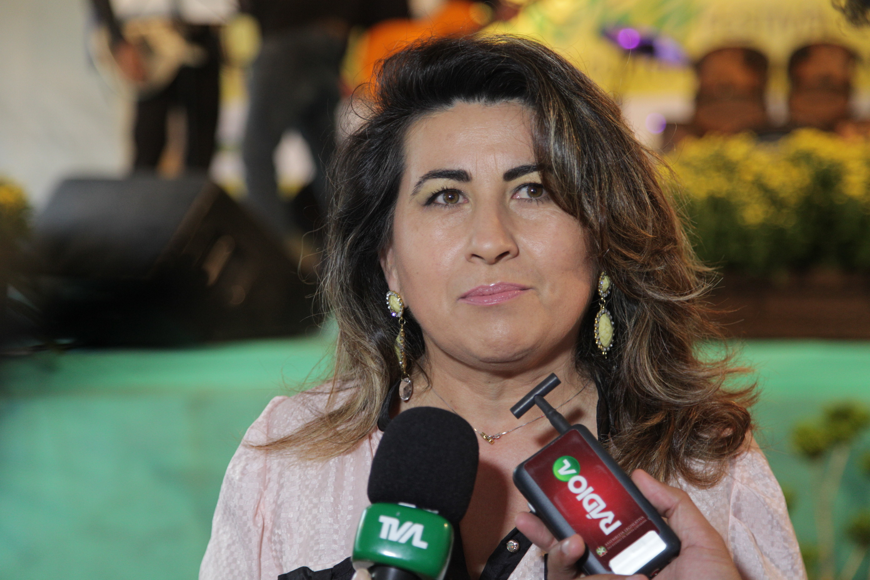2ª FLICAM - Campos Novos - Eliana Mayer