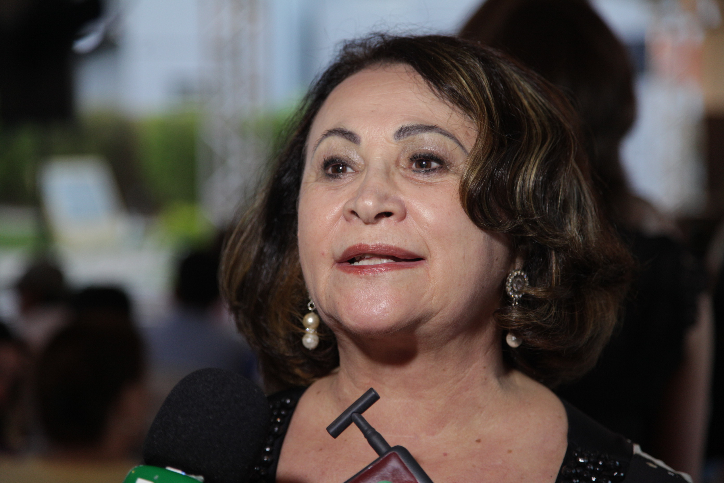 2ª FLICAM - Campos Novos - Sueli Brandão