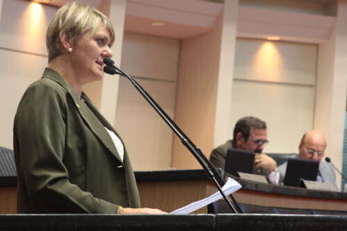 Deputada Luciane lamenta vetos de projetos importantes para Santa Catarina