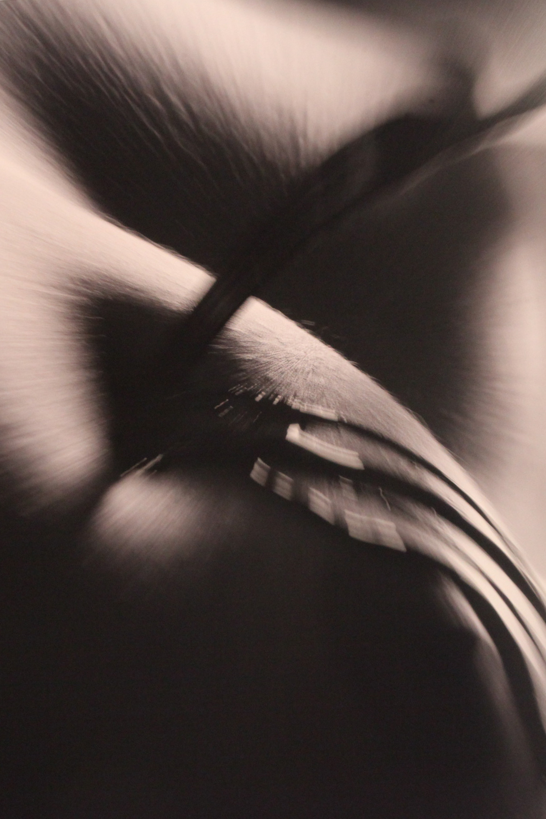 Exposição fotográfica Toque-se! Foto: Fábio Queiroz / Agência AL
