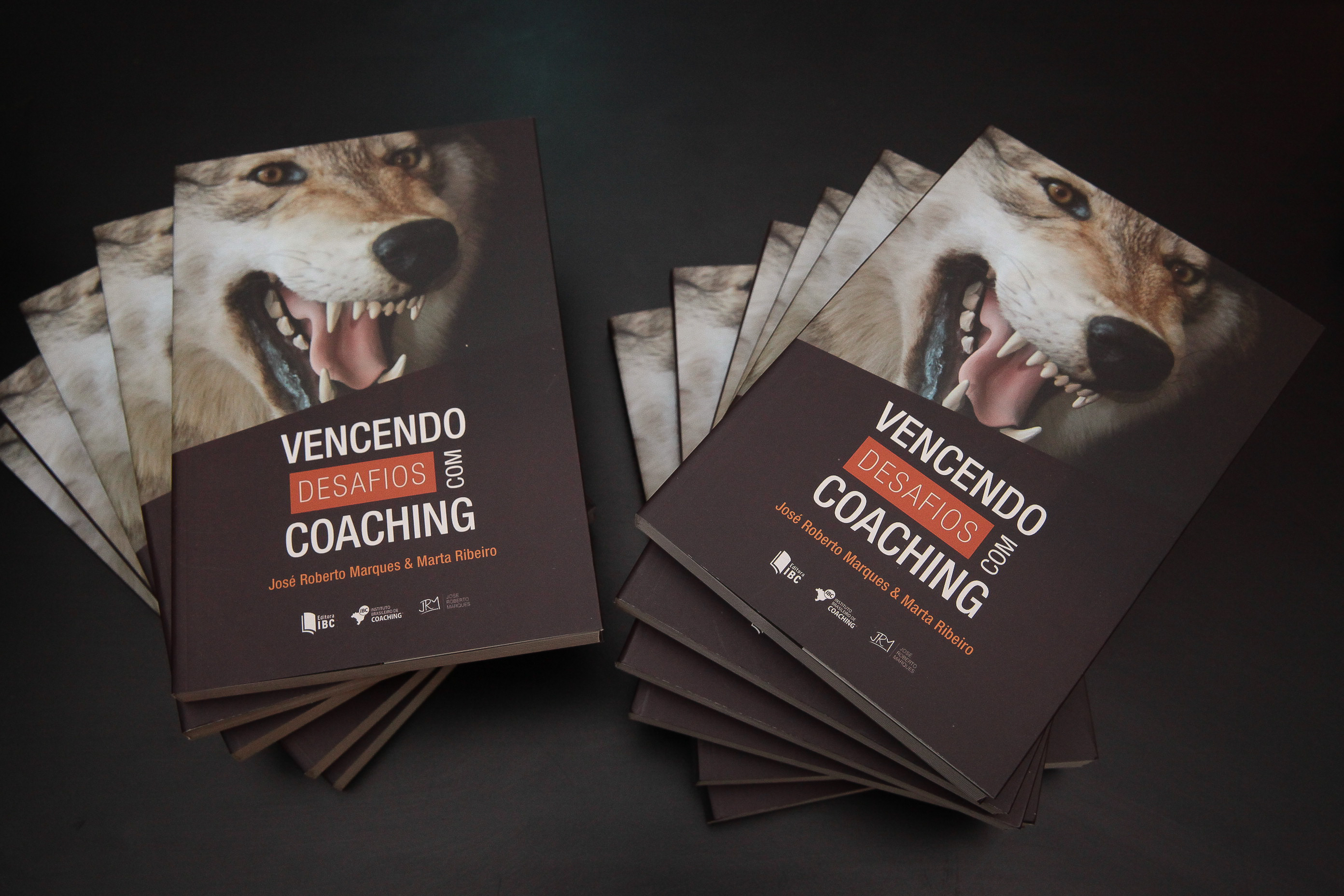 Lançamento de livro Vencendo desafios com Coaching - Autores: Marta Ribeiro. Foto: Miriam Zomer/Agência
