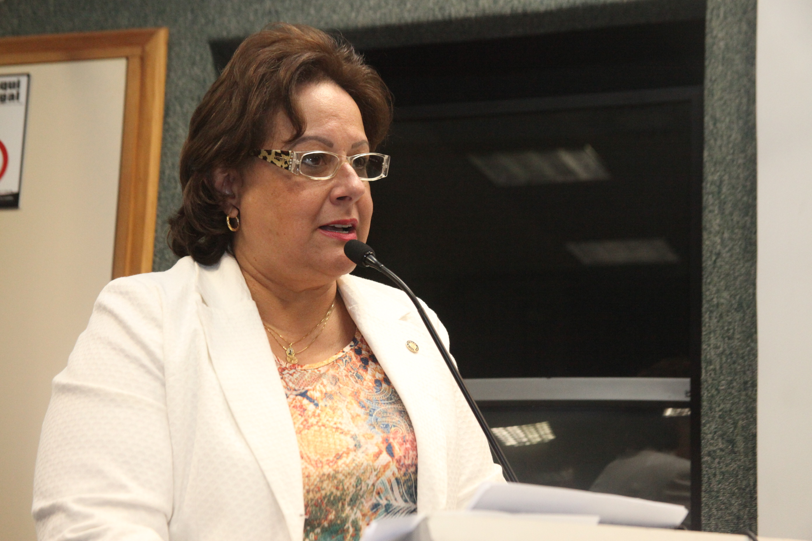 Pessoa com deficiência - olhar sobre a Lei Maria da Penha. Foto: Fábio Queiroz / Agência AL