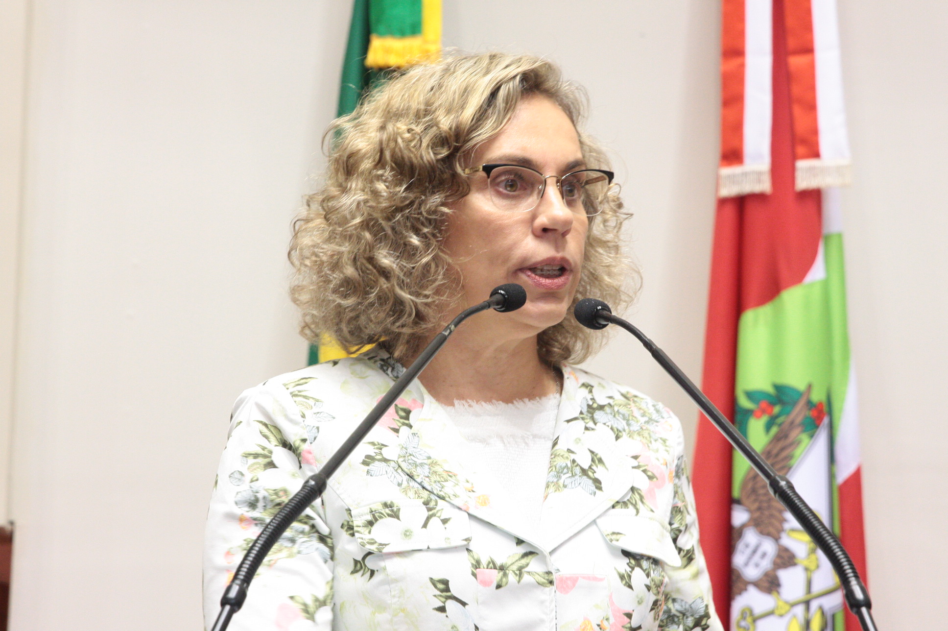 Plenario Dp Ana Paula Lima_ fotos Eduardo Guedes de Oliveira / Agência AL