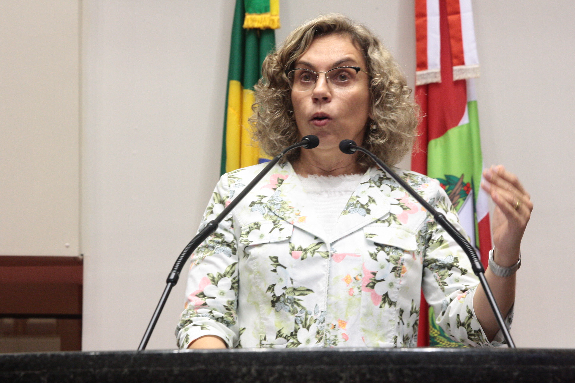 Plenario Dp Ana Paula Lima_ fotos Eduardo Guedes de Oliveira / Agência AL