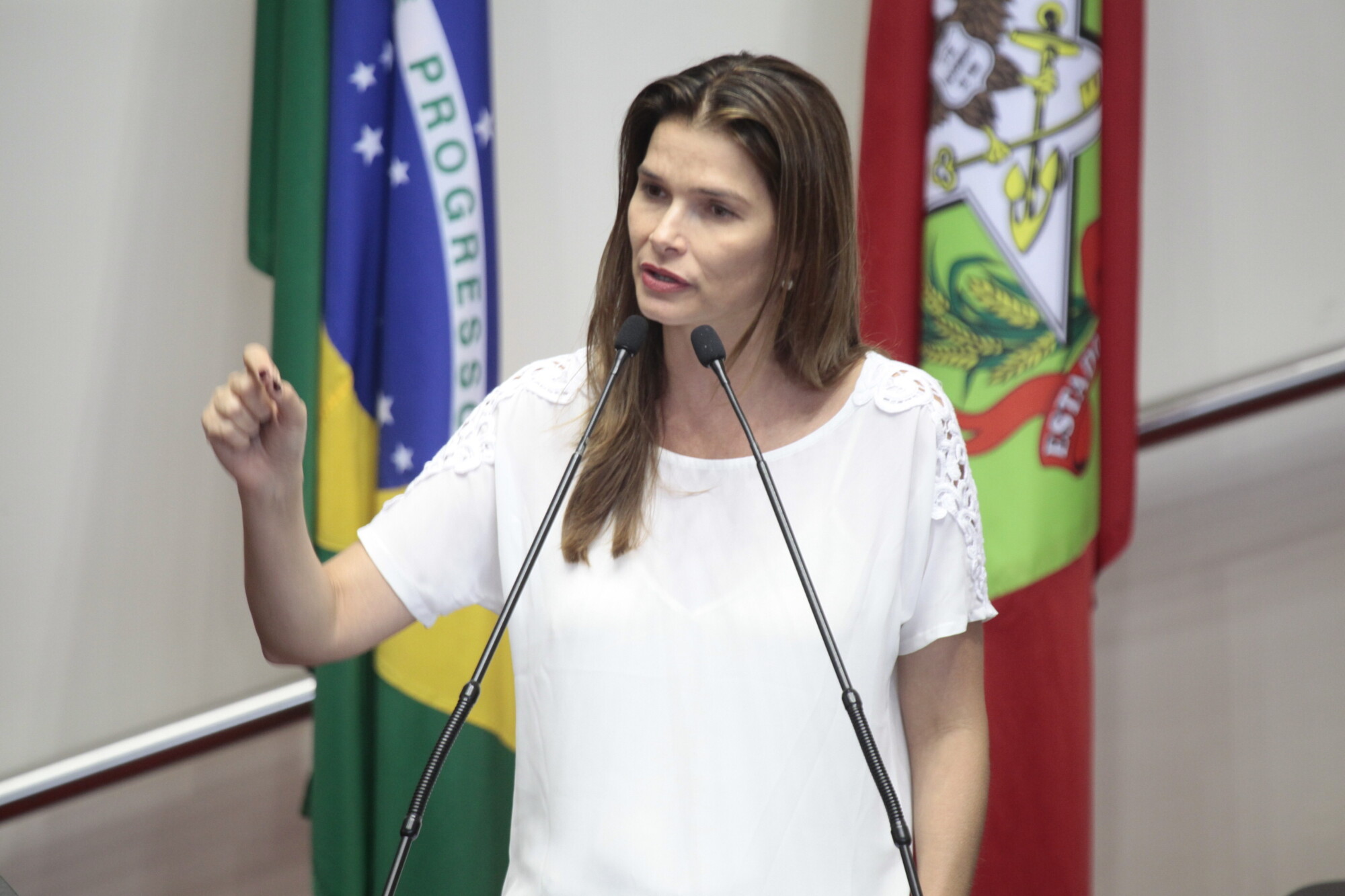 Parlamento aprova moções de repúdio ao deputado federal Jair Bolsonaro