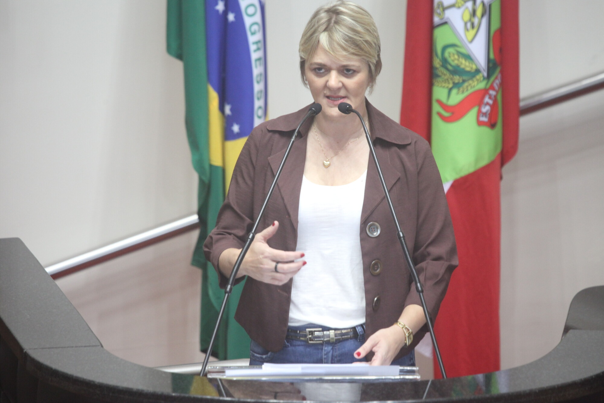 Deputada Luciane Carminatti quer transparência nos números da Operação Veraneio