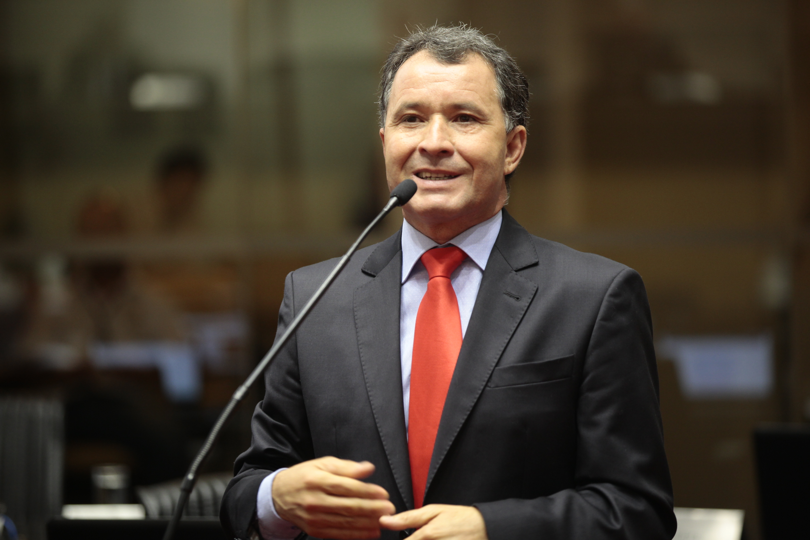 Sessão Plenária - Deputado Darci de Matos (PSD)