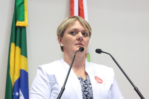 Deputada Luciane lança desafio de promover a reforma política no Brasil