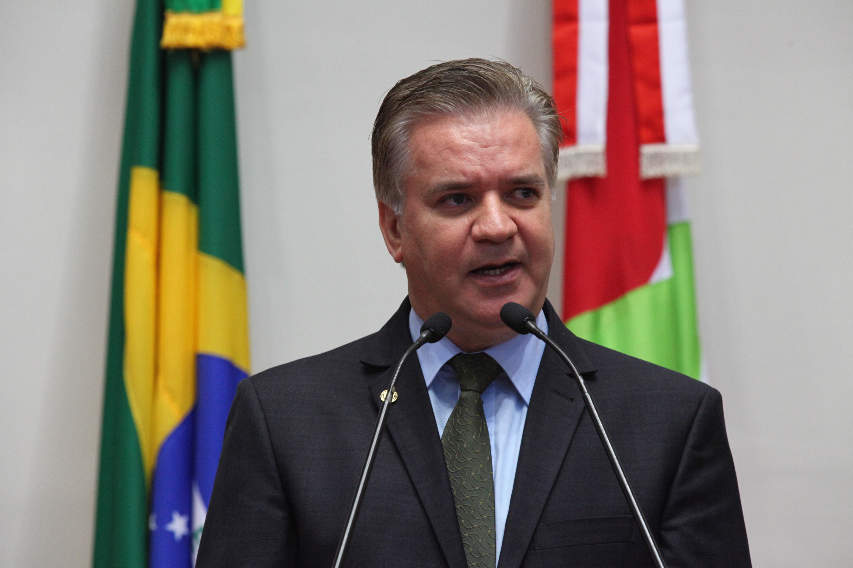 Sessão Plenária - Deputado Cesar Valduga (PCdoB)