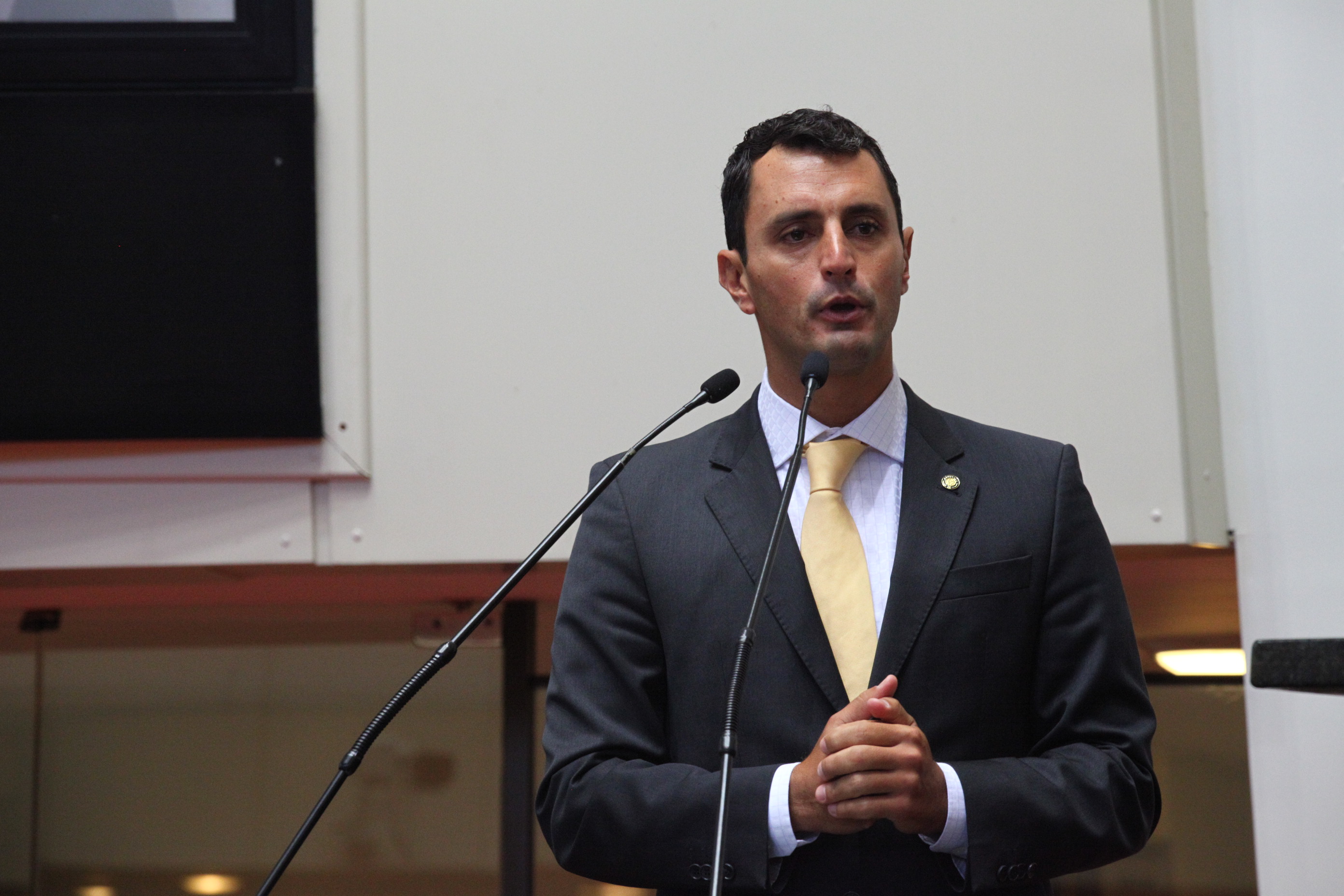 Sessão Plenária - Deputado João Amin (PP)