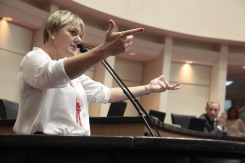 Luciane diz que apoia reivindicação de caminhoneiros, mas não a obstrução de vias