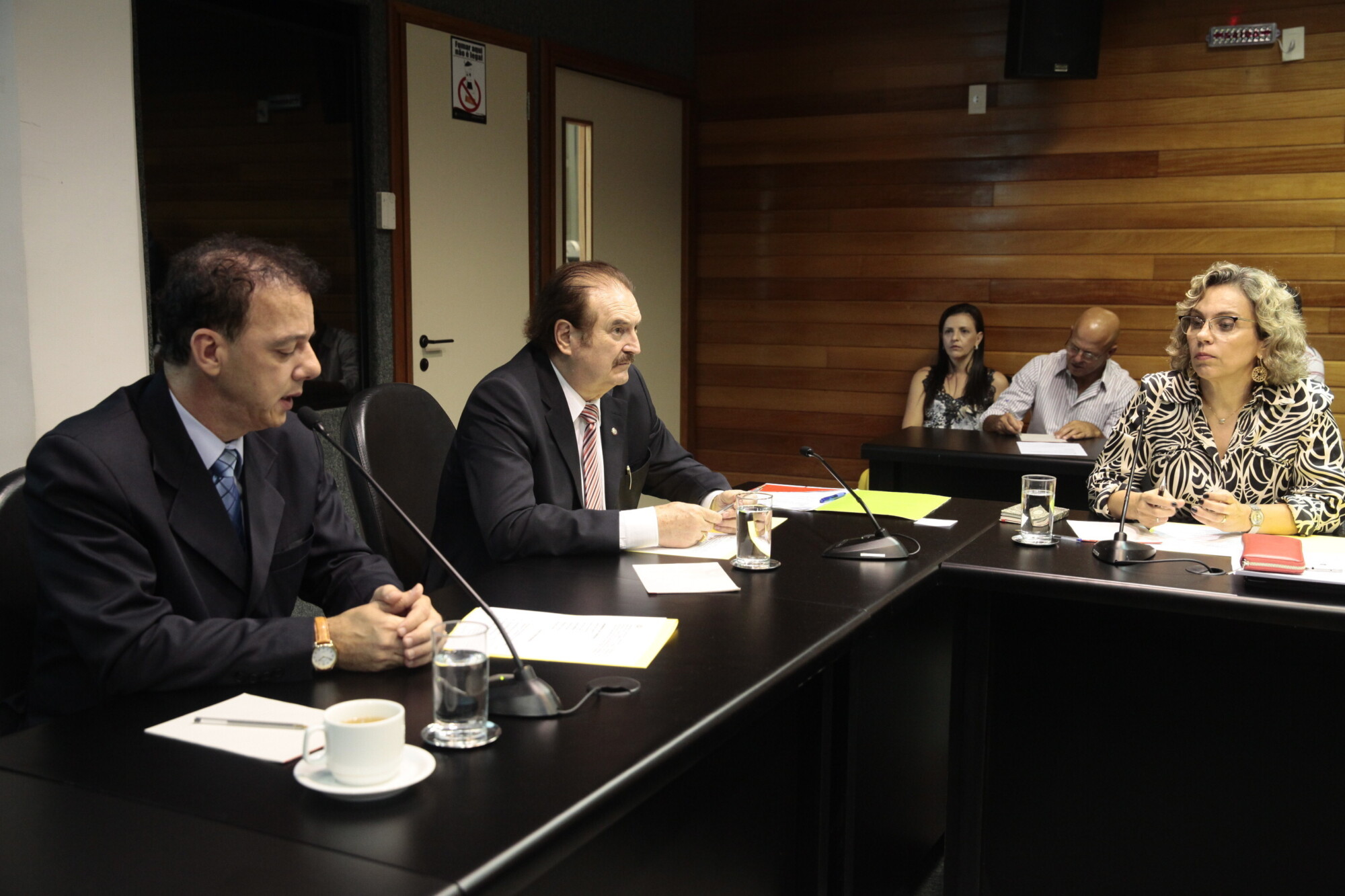 Comissão apresenta resultados do programa Reviver