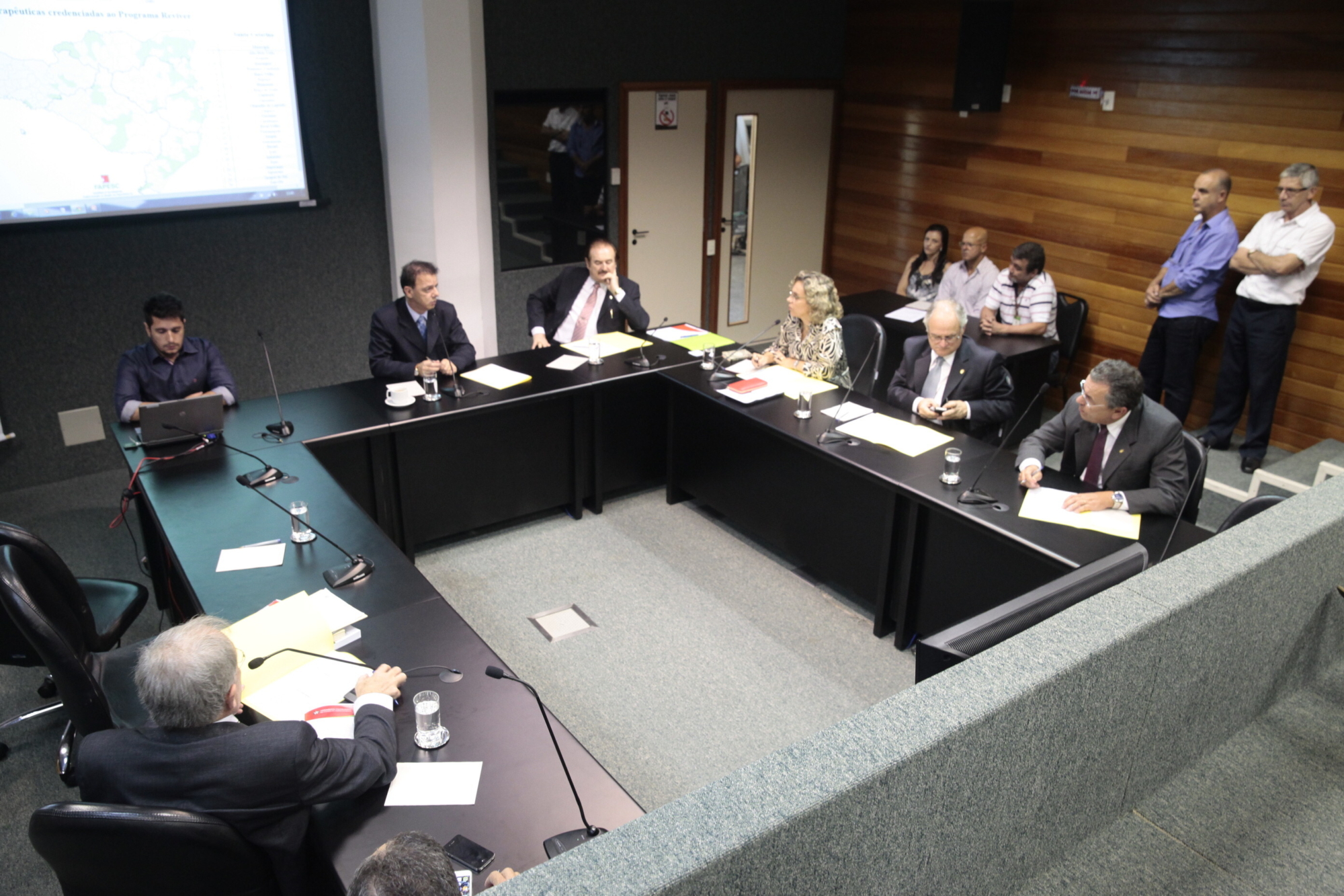 Comissão projeta ampliação do Programa Reviver