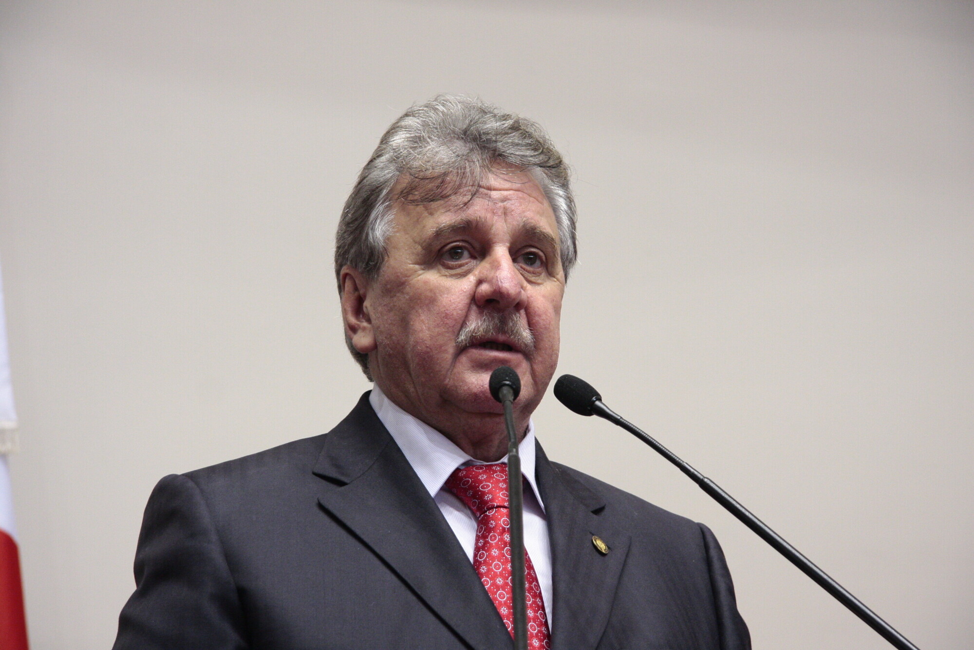Certificação internacional pode ampliar mercado à carne suína catarinense
