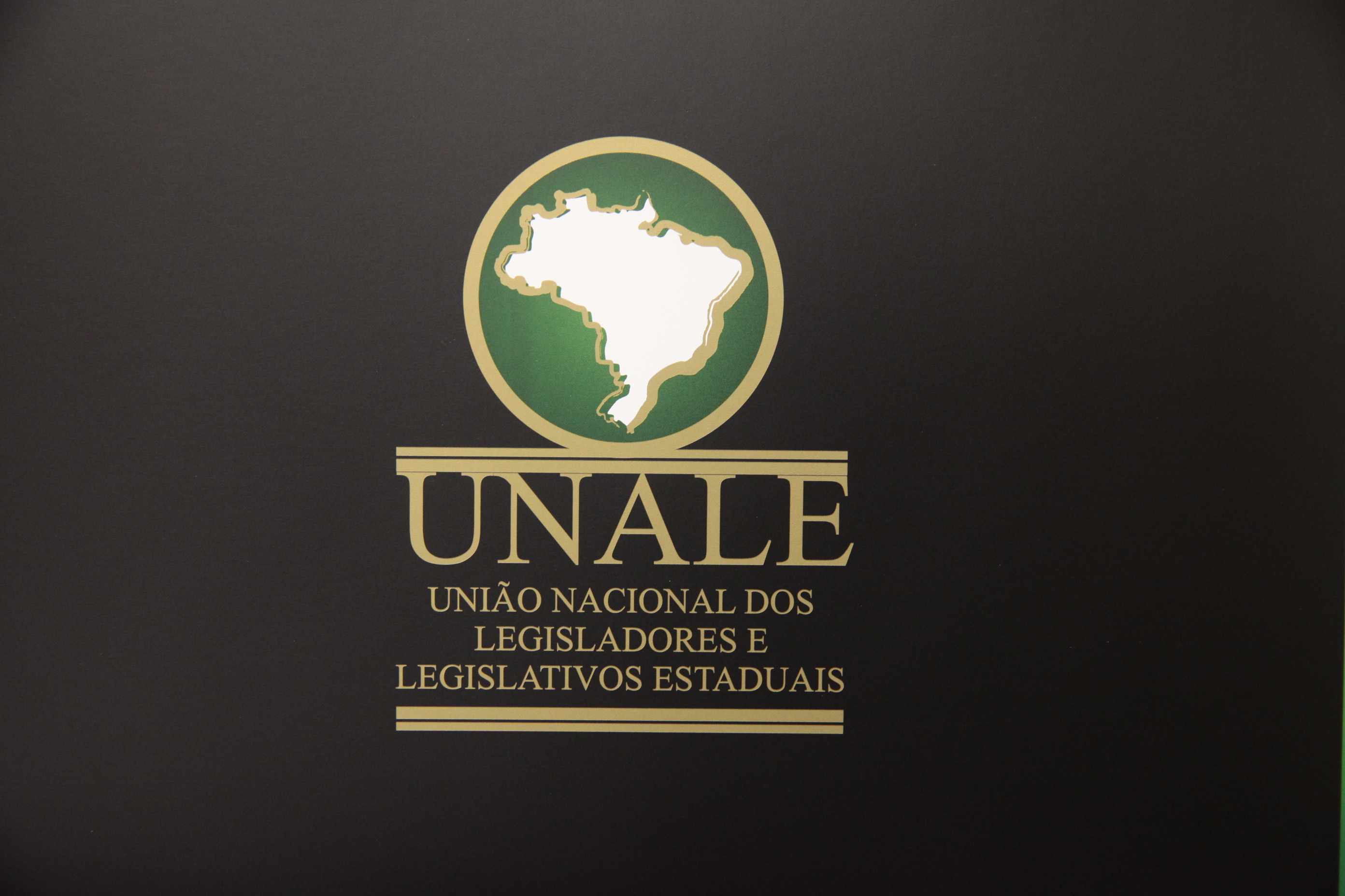 Apresentação da UNALE. Foto: Eduardo Guedes de Oliveira / Agência AL