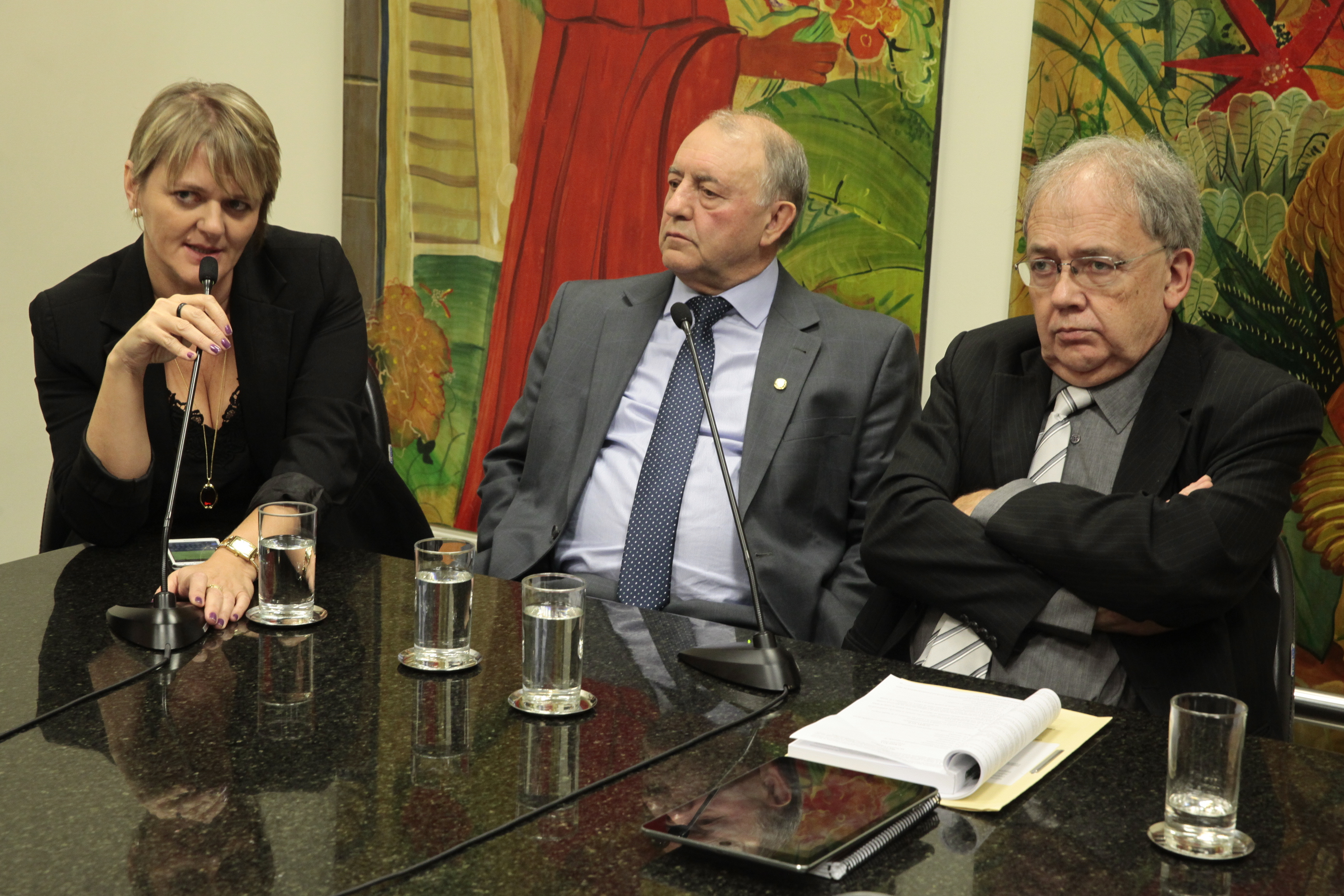 Instalação do Fórum Parlamentar sobre o Pacto Federativo a partir das Assembleias Estaduais. Foto: Miriam Zomer/Agência AL