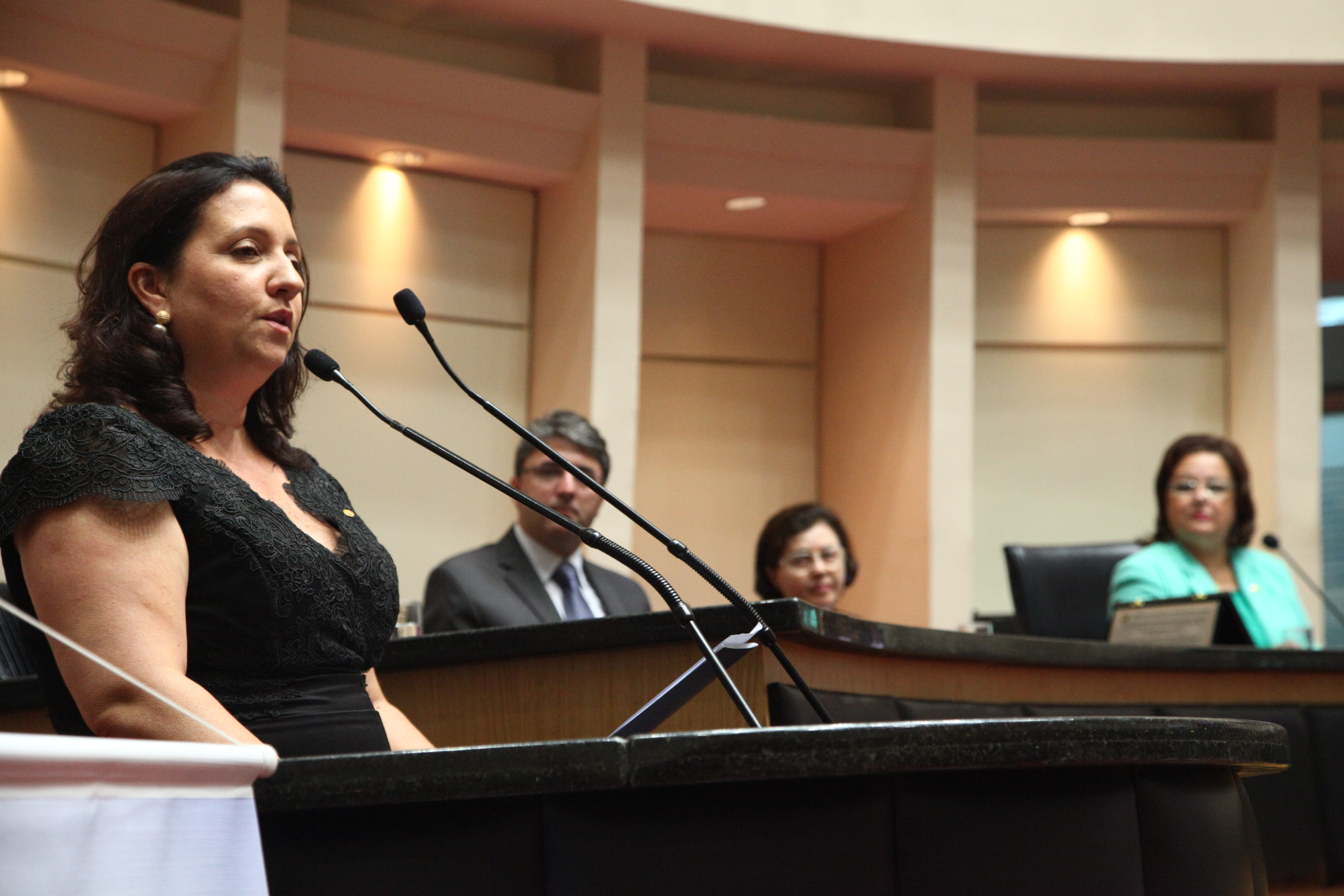 Sessão Especial em Homenagem ao Colégio Elisa Andreoli