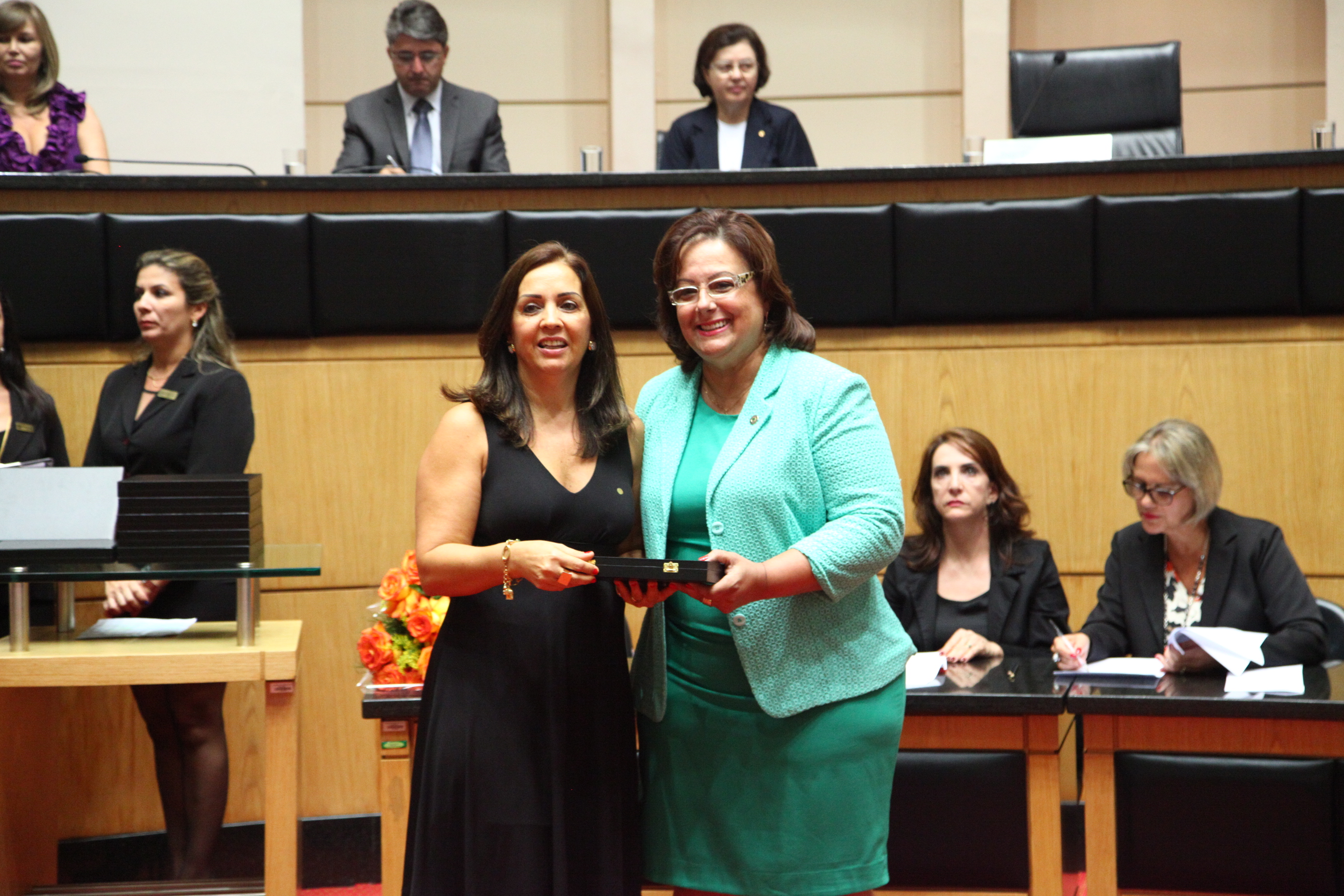 Sessão Especial em Homenagem ao Colégio Elisa Andreoli