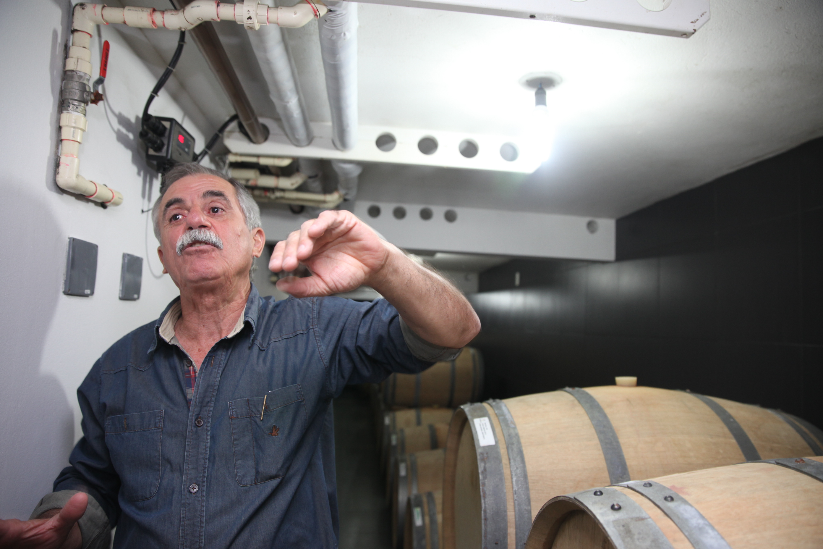 Vinícola 1. Foto: Fábio Queiroz / Agência AL