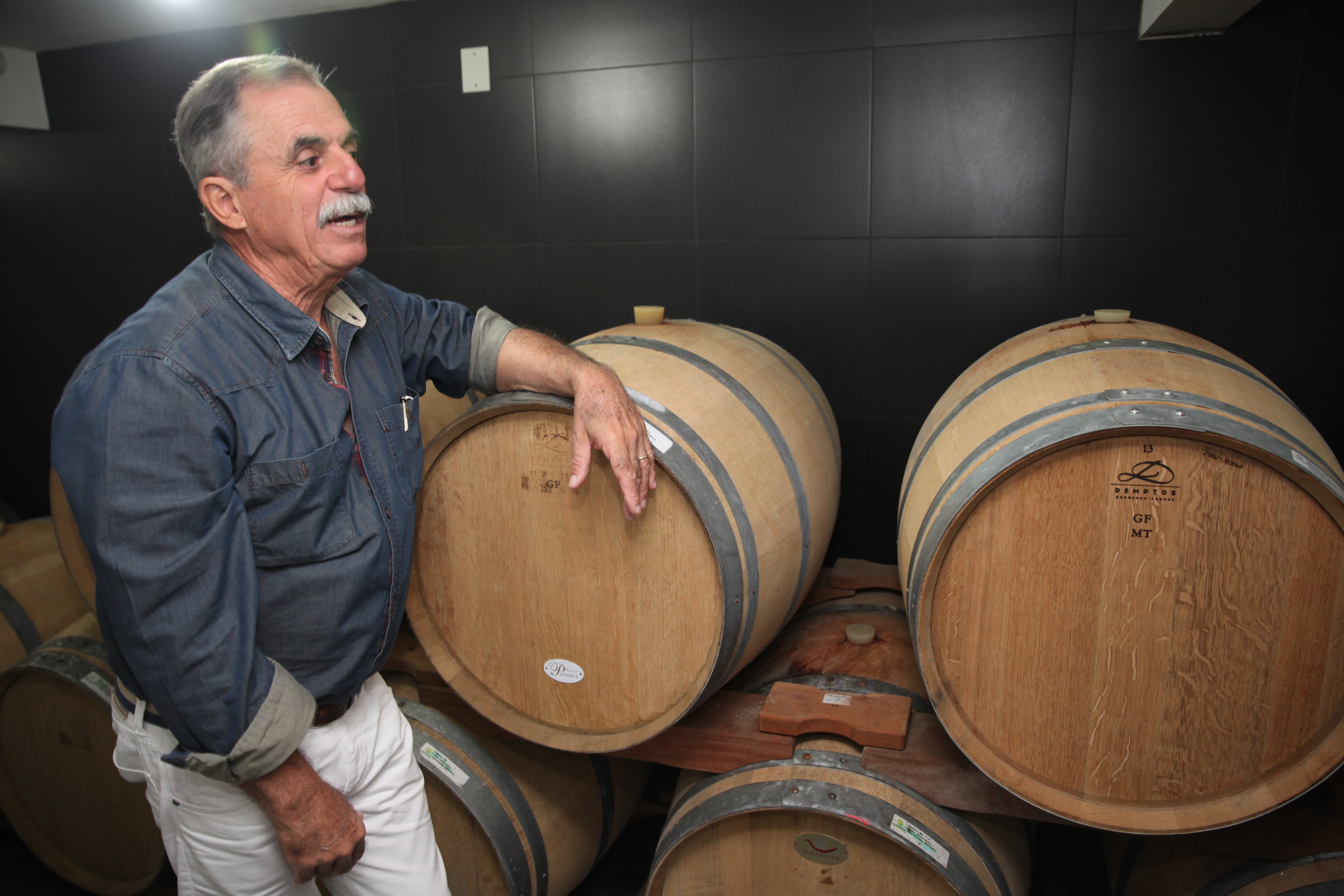Vinícola 1. Foto: Fábio Queiroz / Agência AL