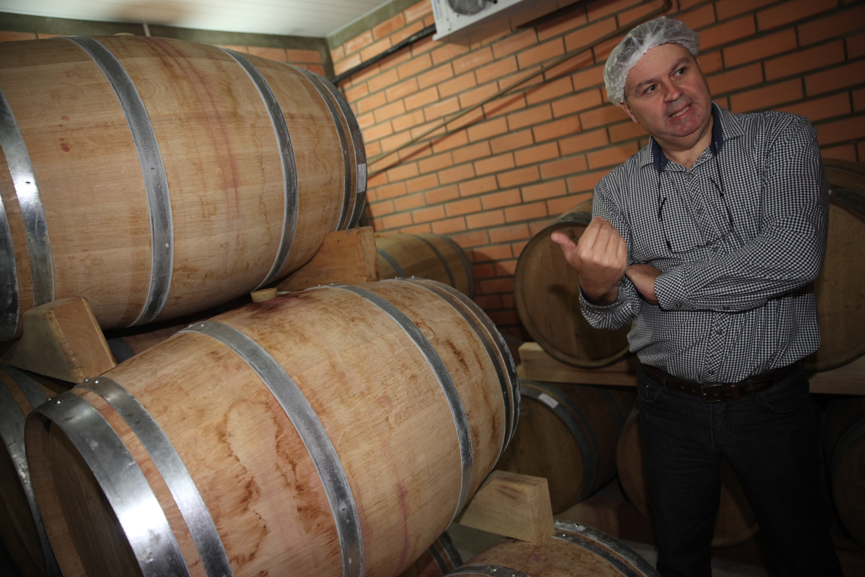 Vinícola 2. Foto: Fábio Queiroz / Agência AL