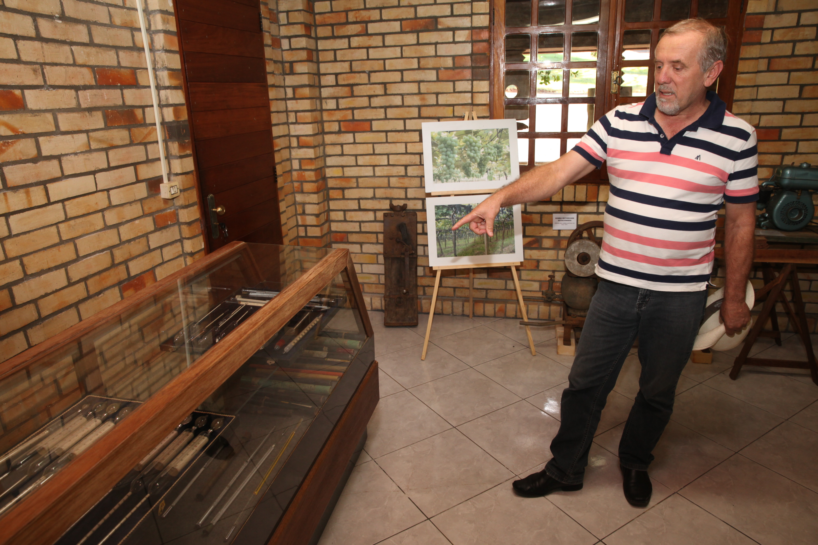 Vinícola 3. Foto: Fábio Queiroz / Agência AL